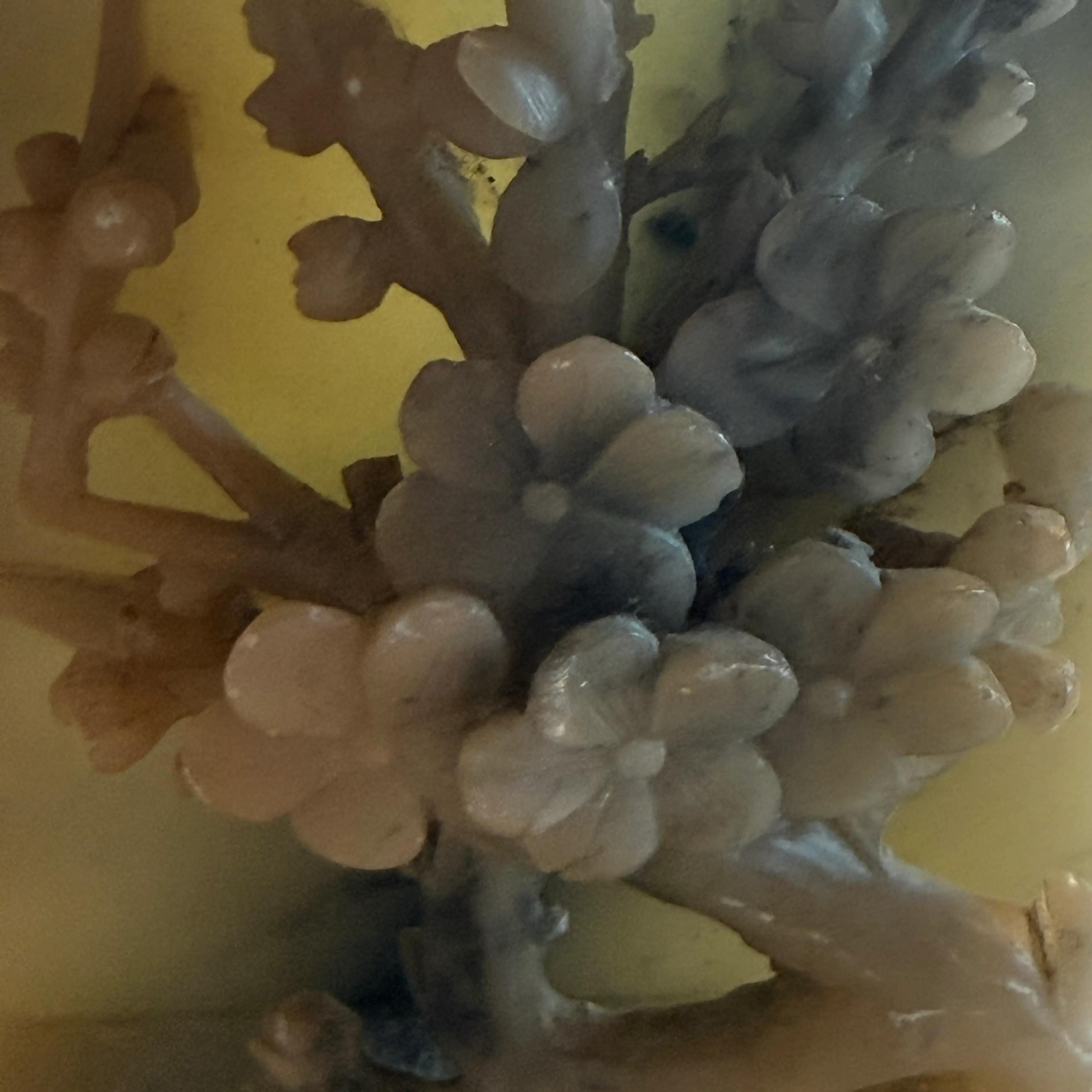 Image 3 of 8