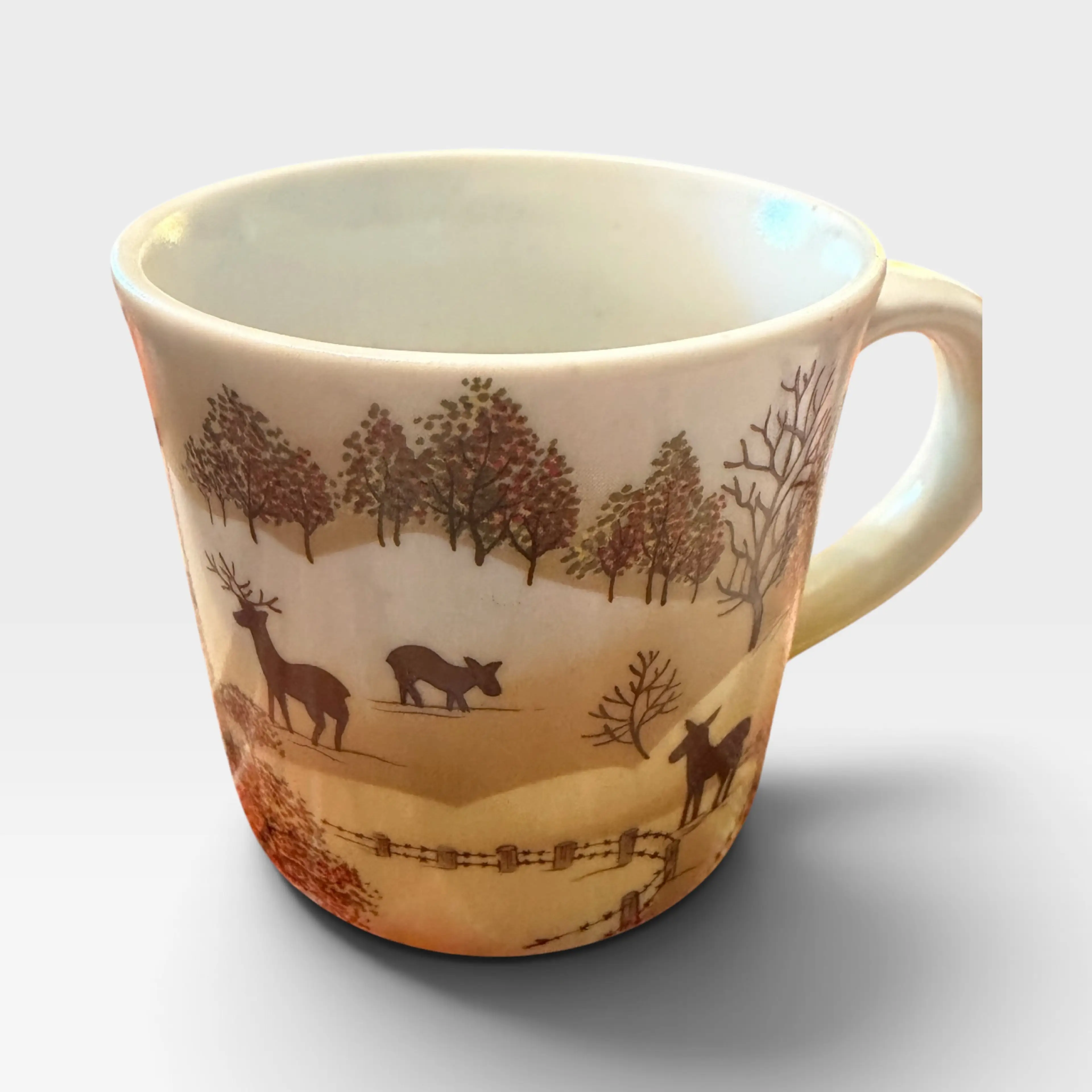 Image 1 of 5