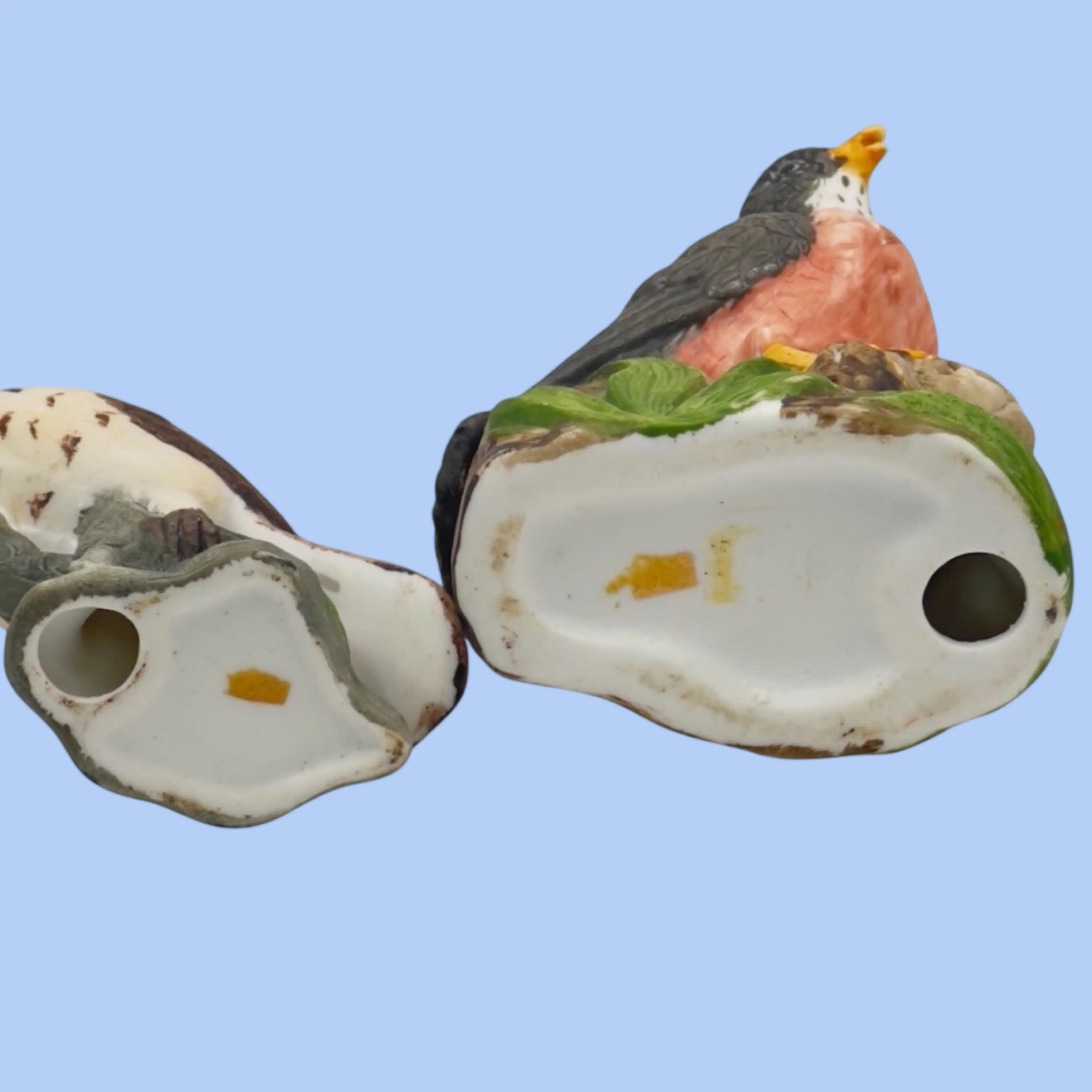 Image 5 of 8