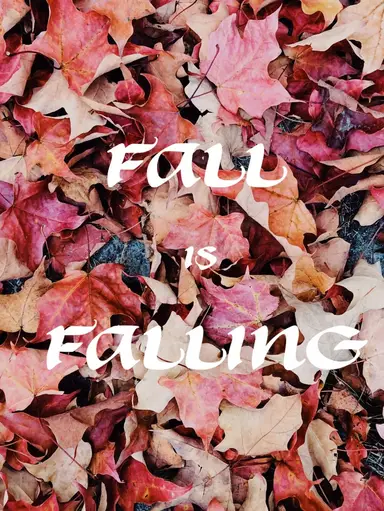 Things With Leaves Fall Themed