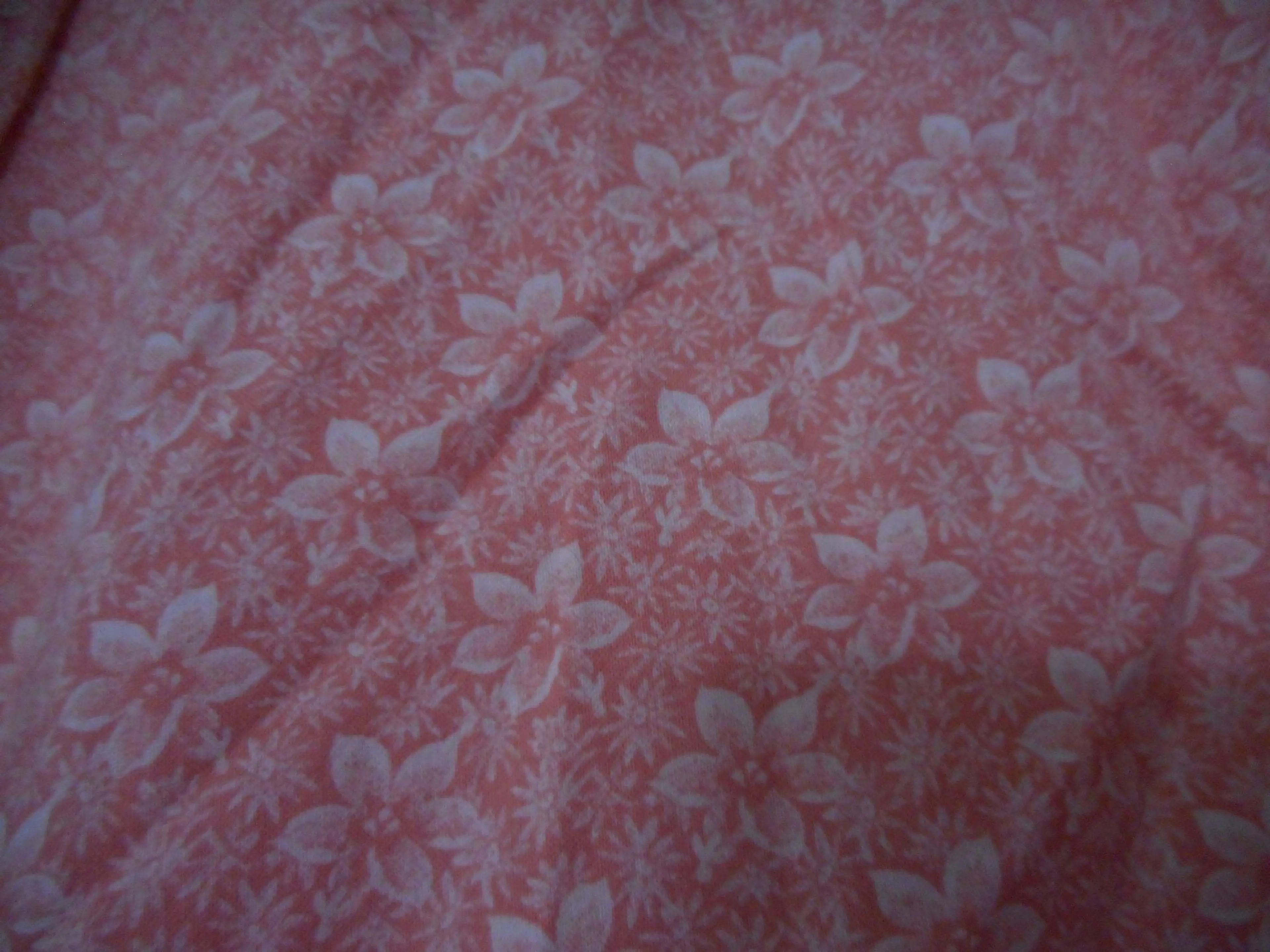 Image 3 of 6