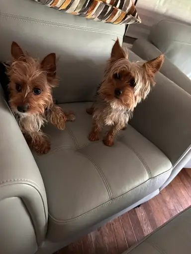 Jewelry With Maci