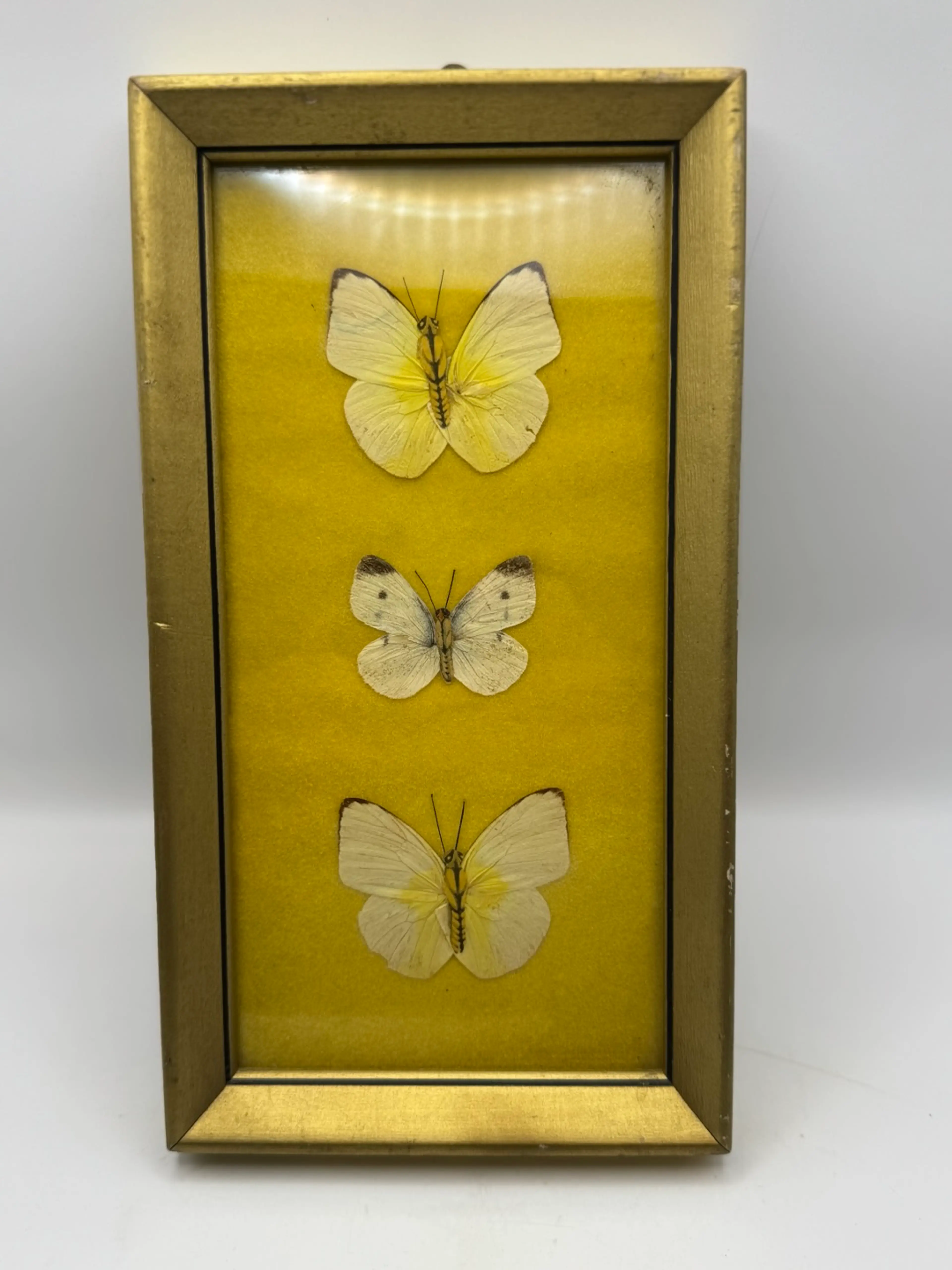 Image 4 of 6