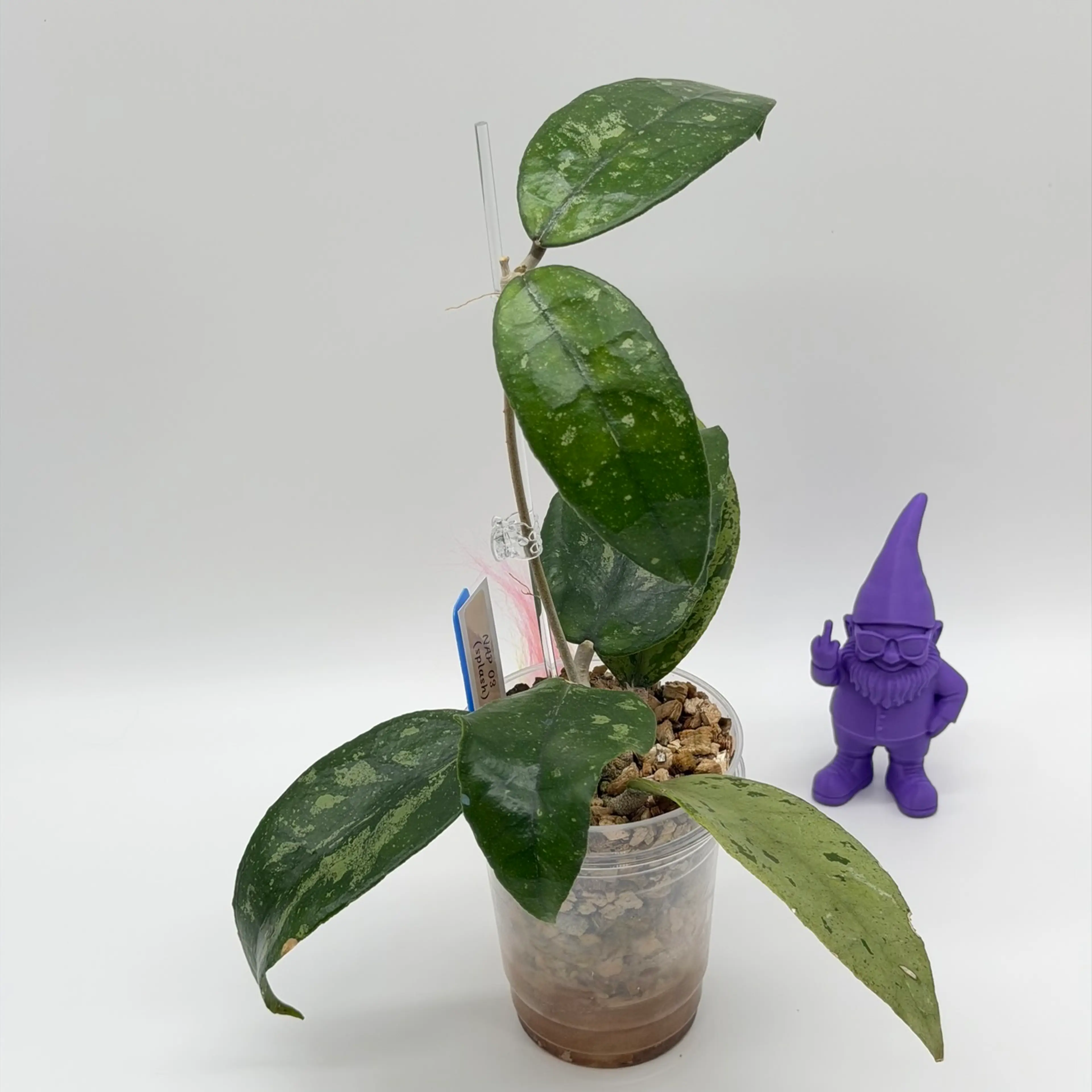 Image 2 of 4