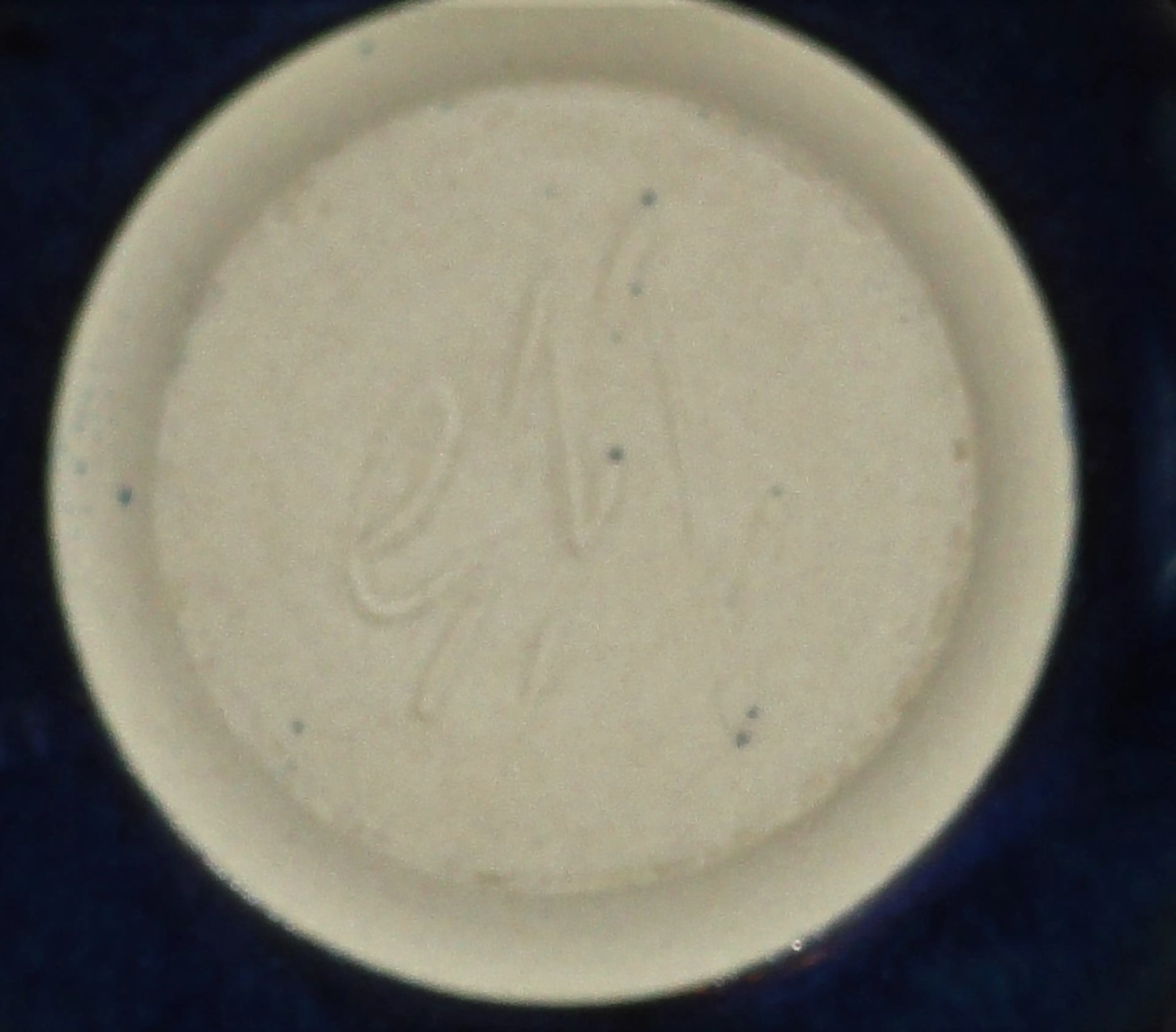 Image 4 of 4