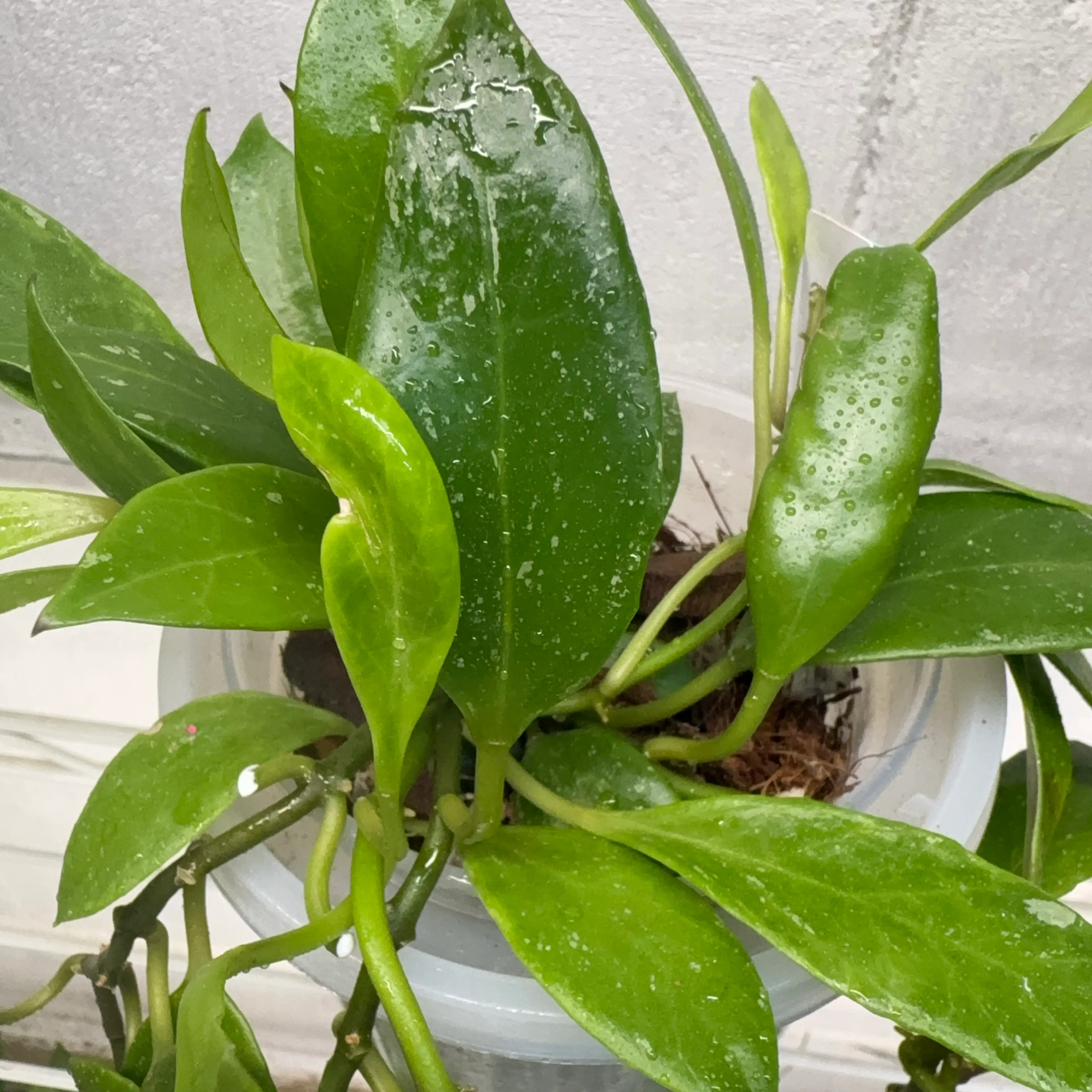 Image 2 of 3