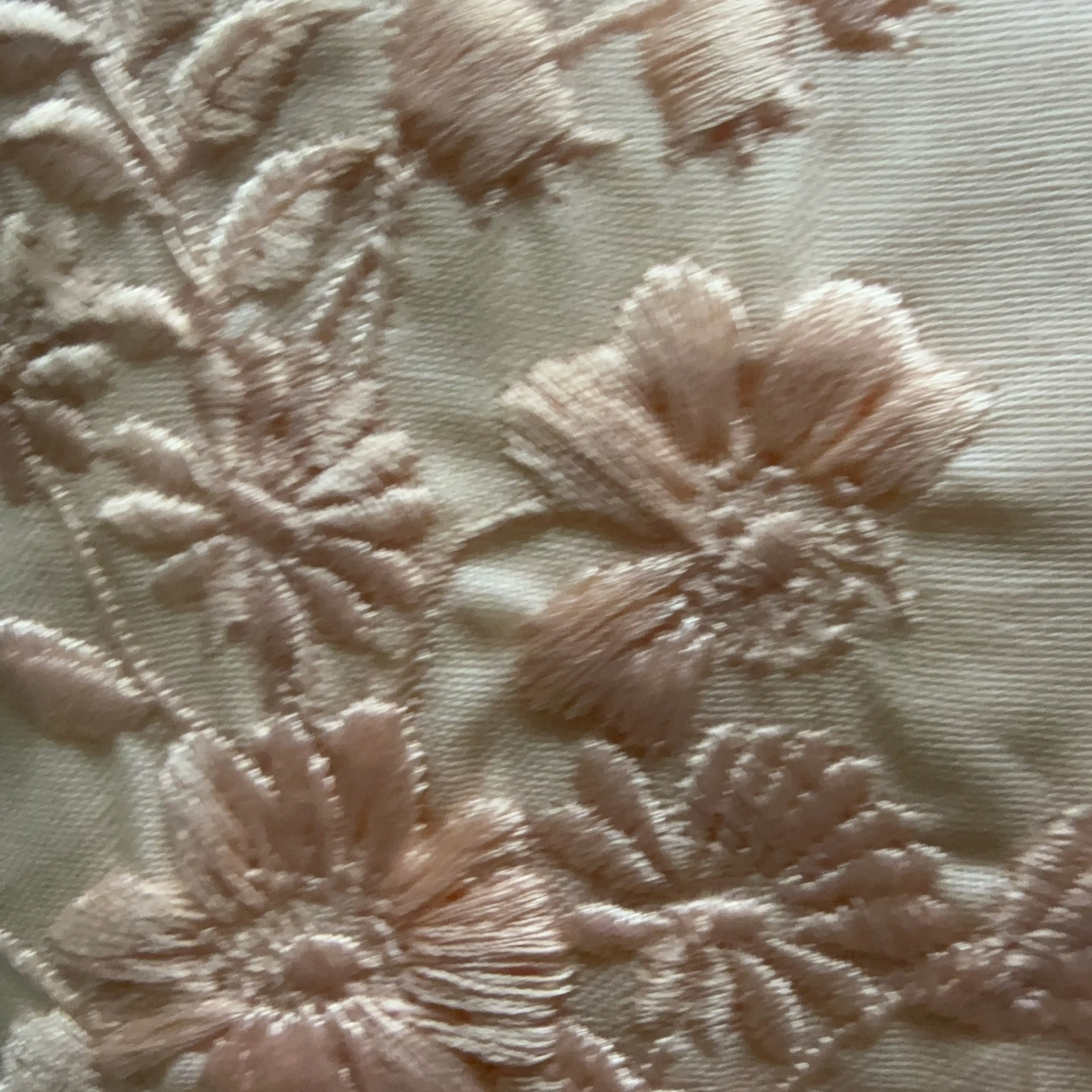 Image 4 of 5