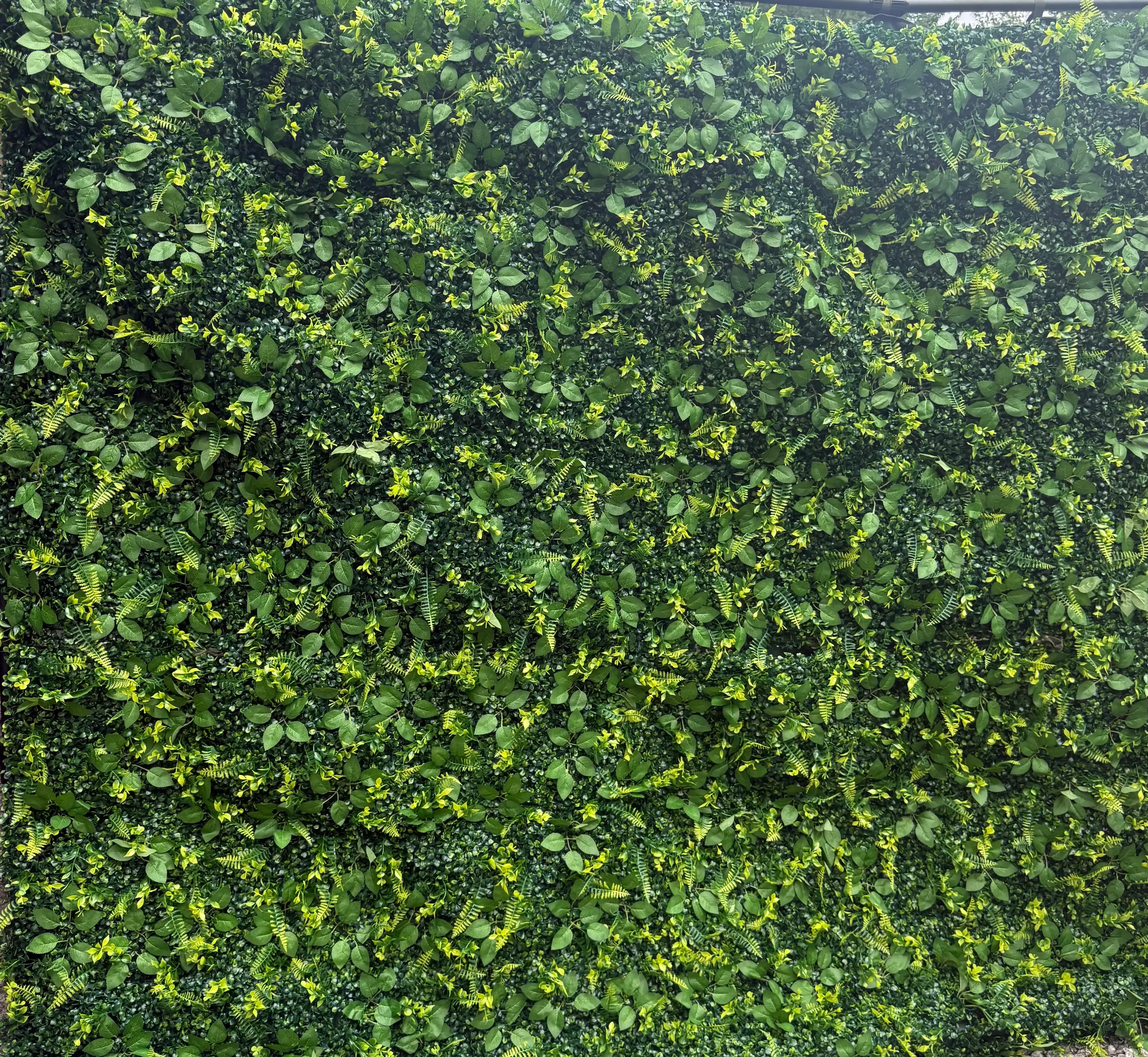 Image 2 of 2
