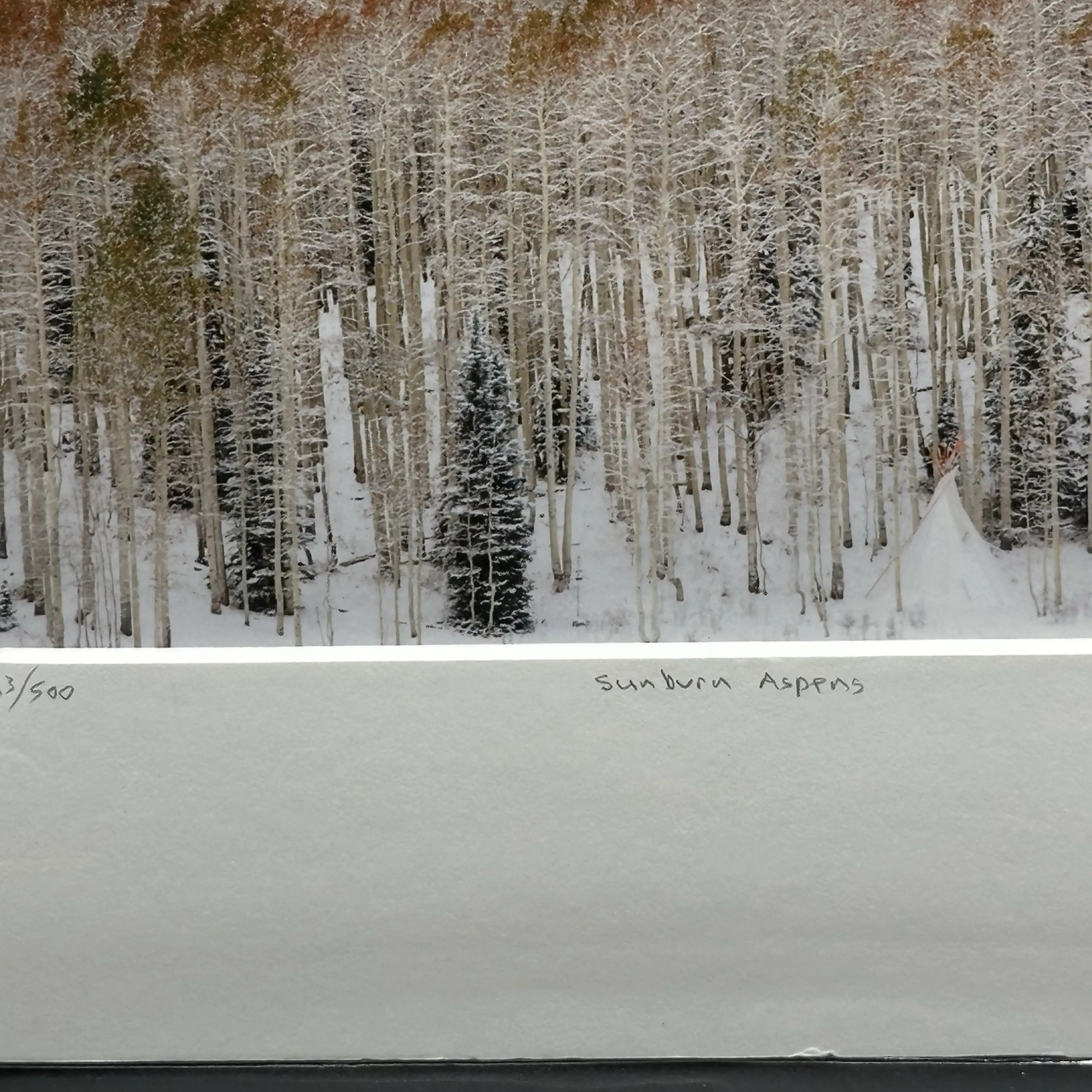 Image 4 of 6