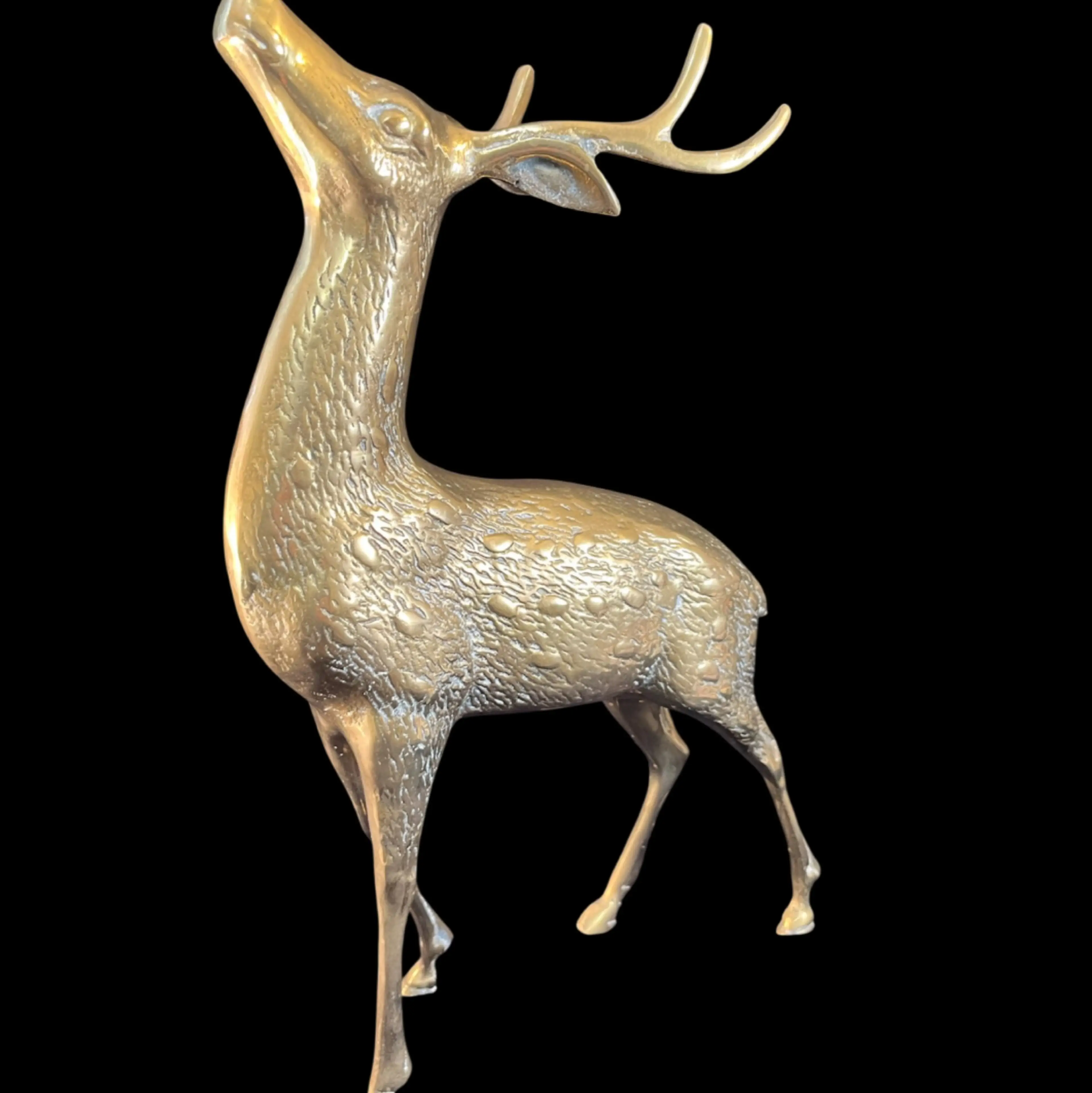 Image 4 of 10