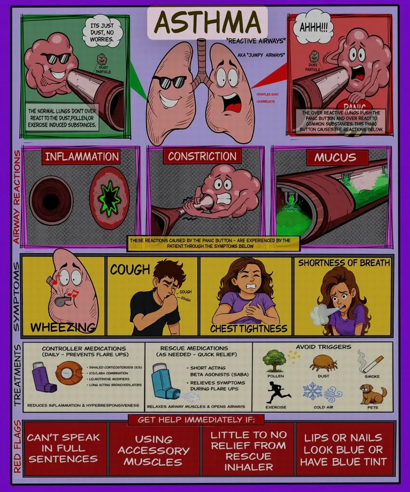 Asthma Patient Education Poster | Symptoms, Triggers, Treatment Chart (Digital Download)