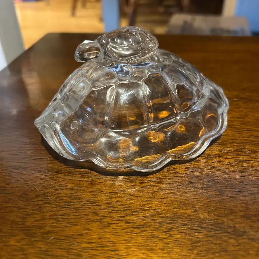 Clear Glass Turtle Shell With Baby Turtle On Top