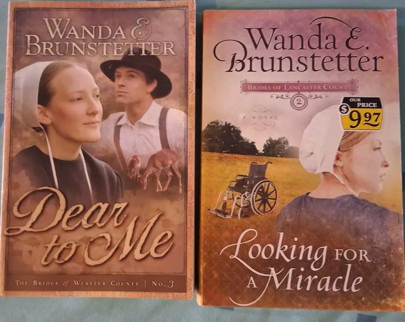 Christian Amish Fiction Books by Wanda Brunstetter-Lot of 2