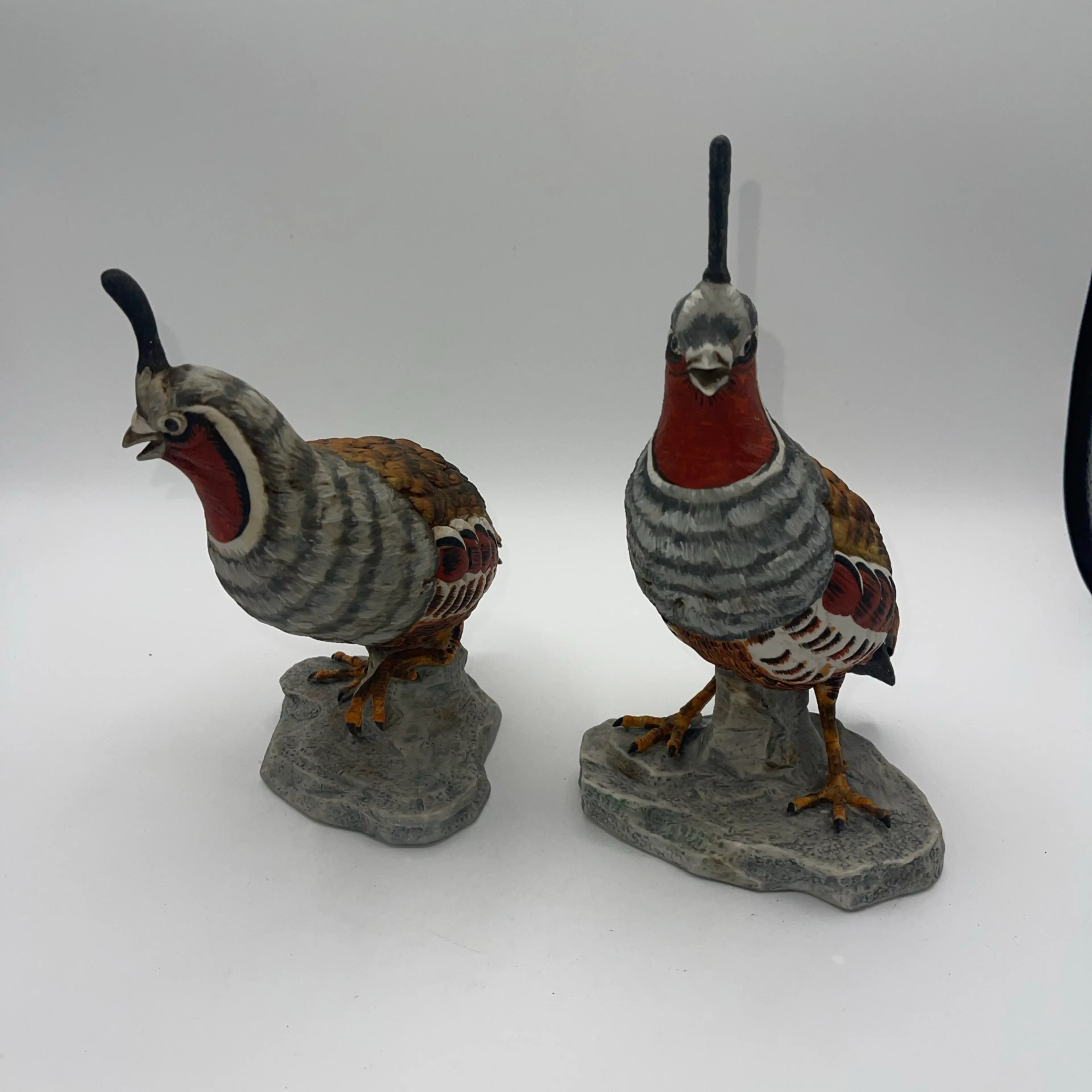 Image 2 of 8