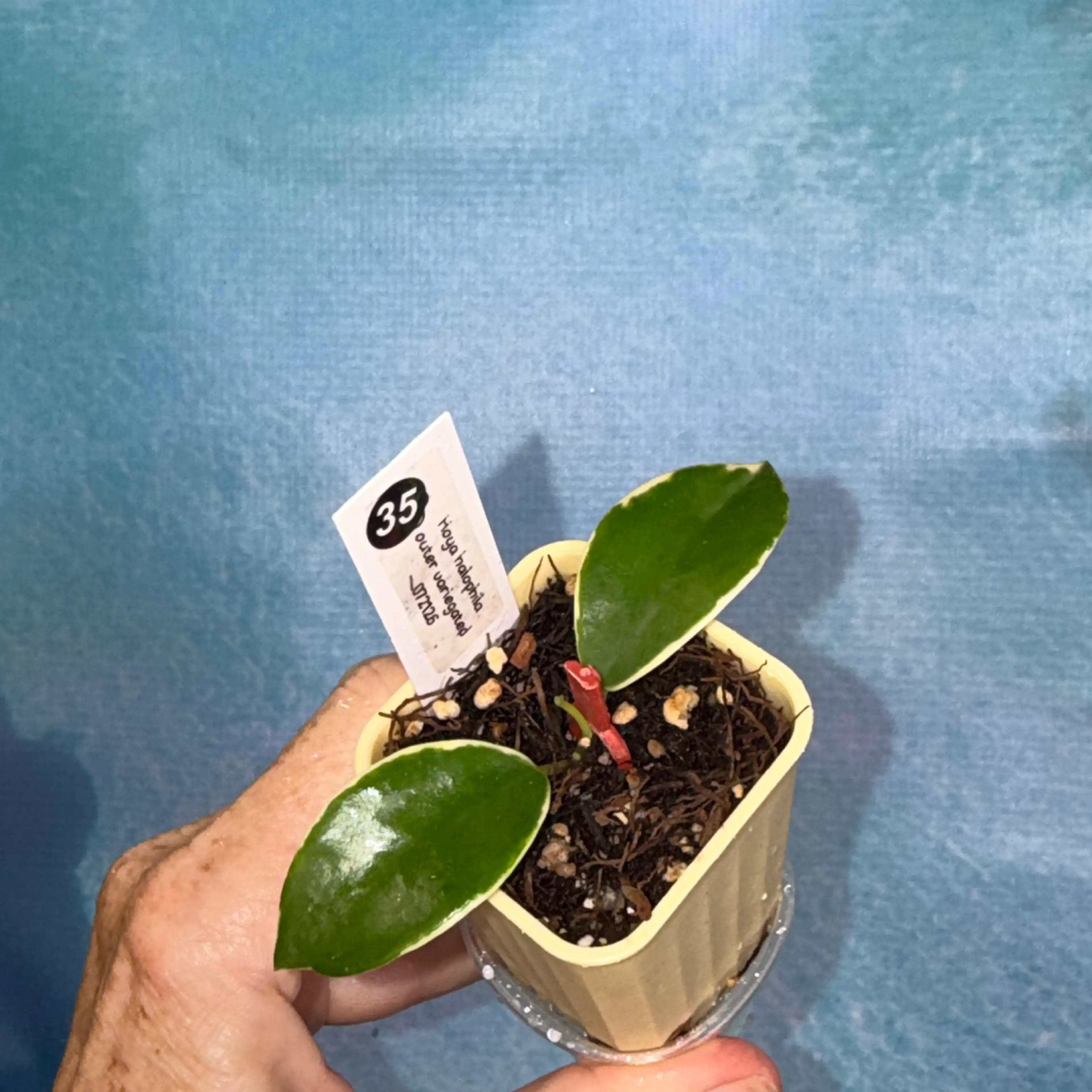 Image 1 of 1