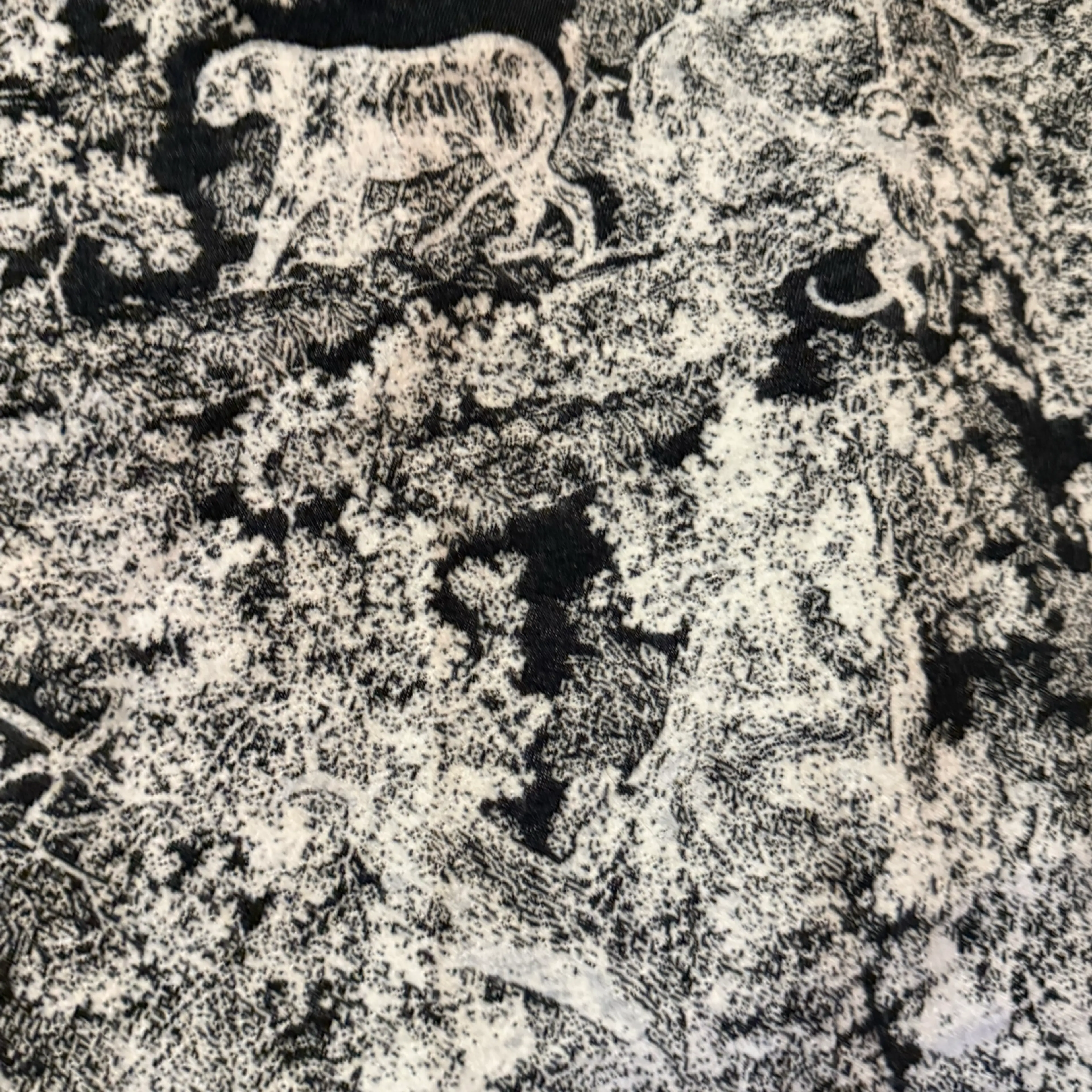 Image 3 of 7