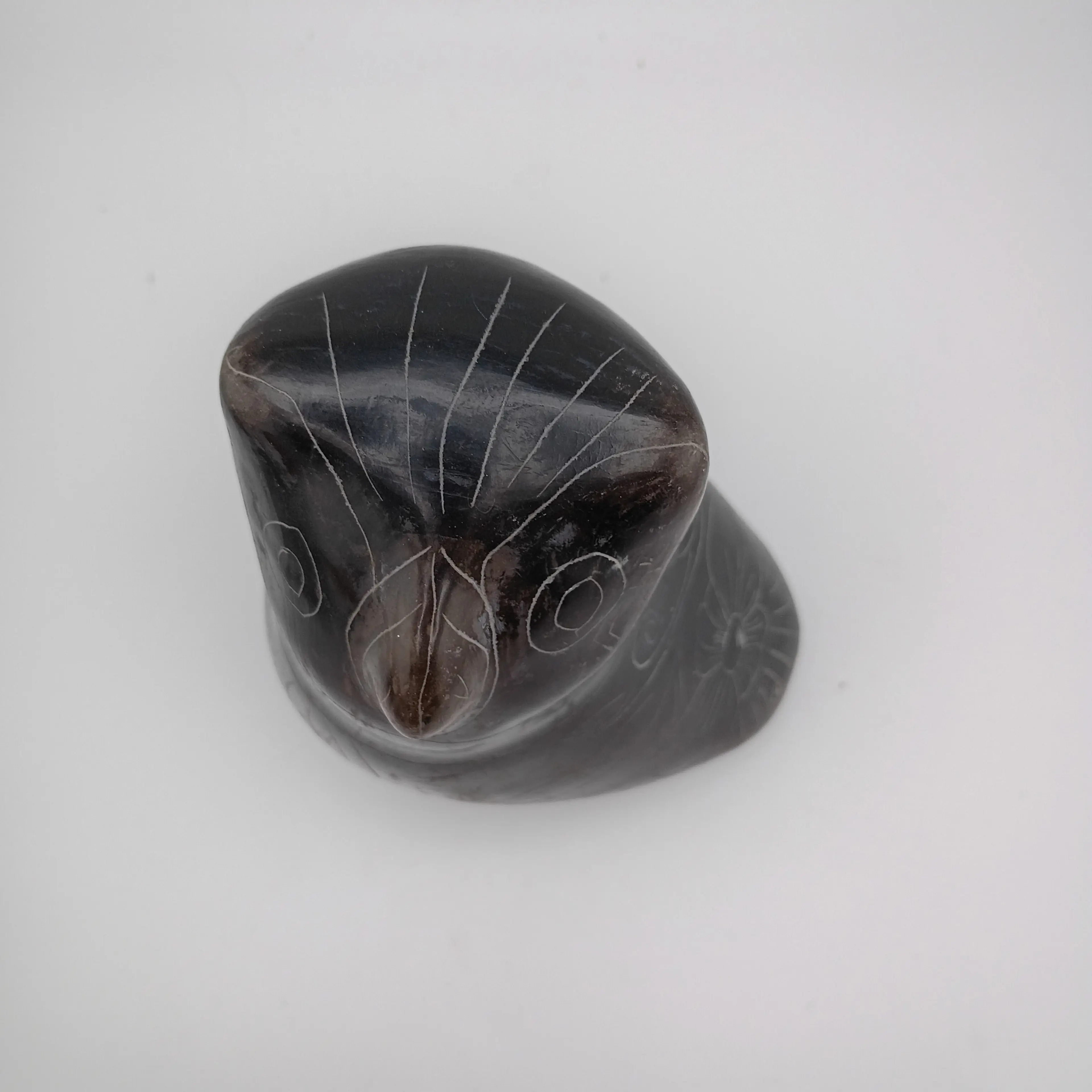 Image 4 of 5