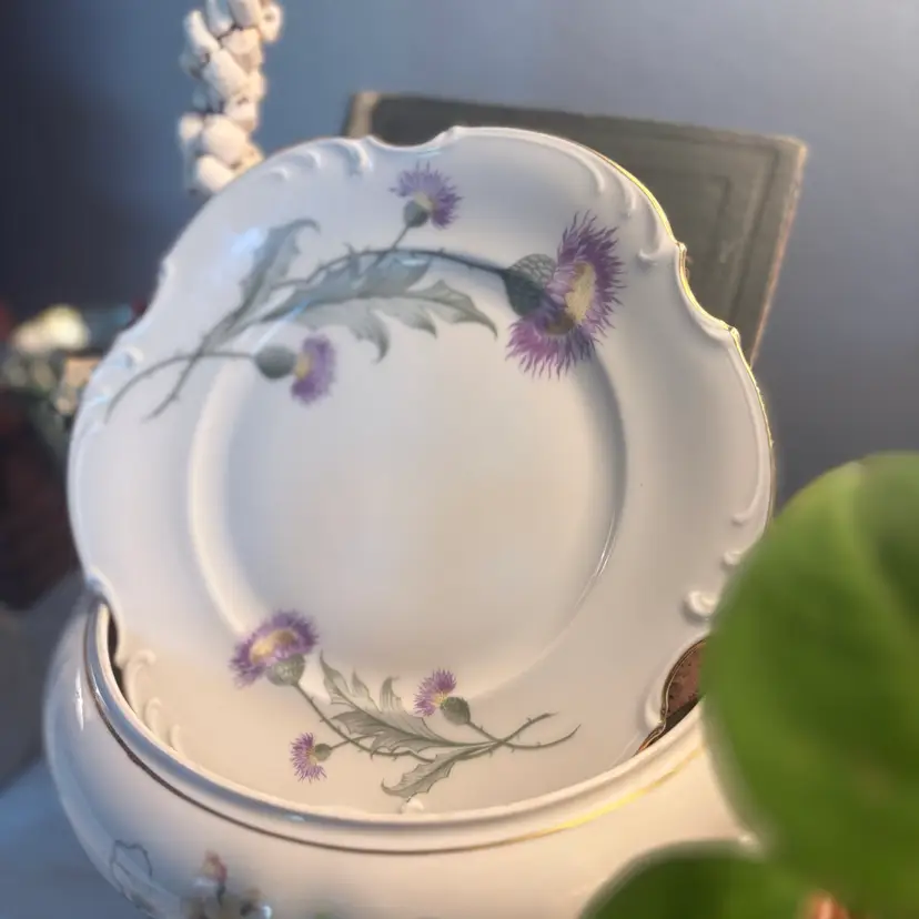Beautiful Bavarian Plate