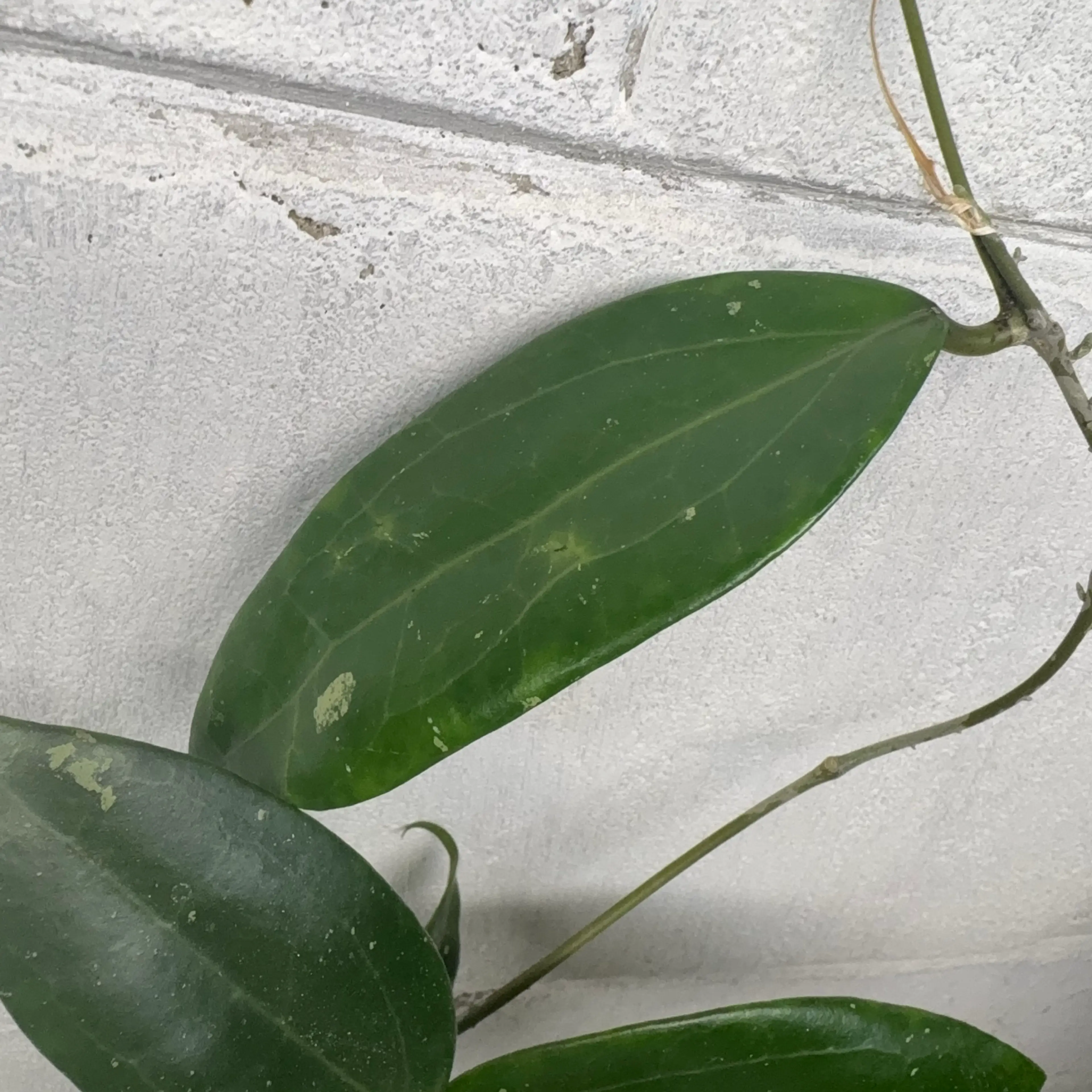 Image 3 of 4