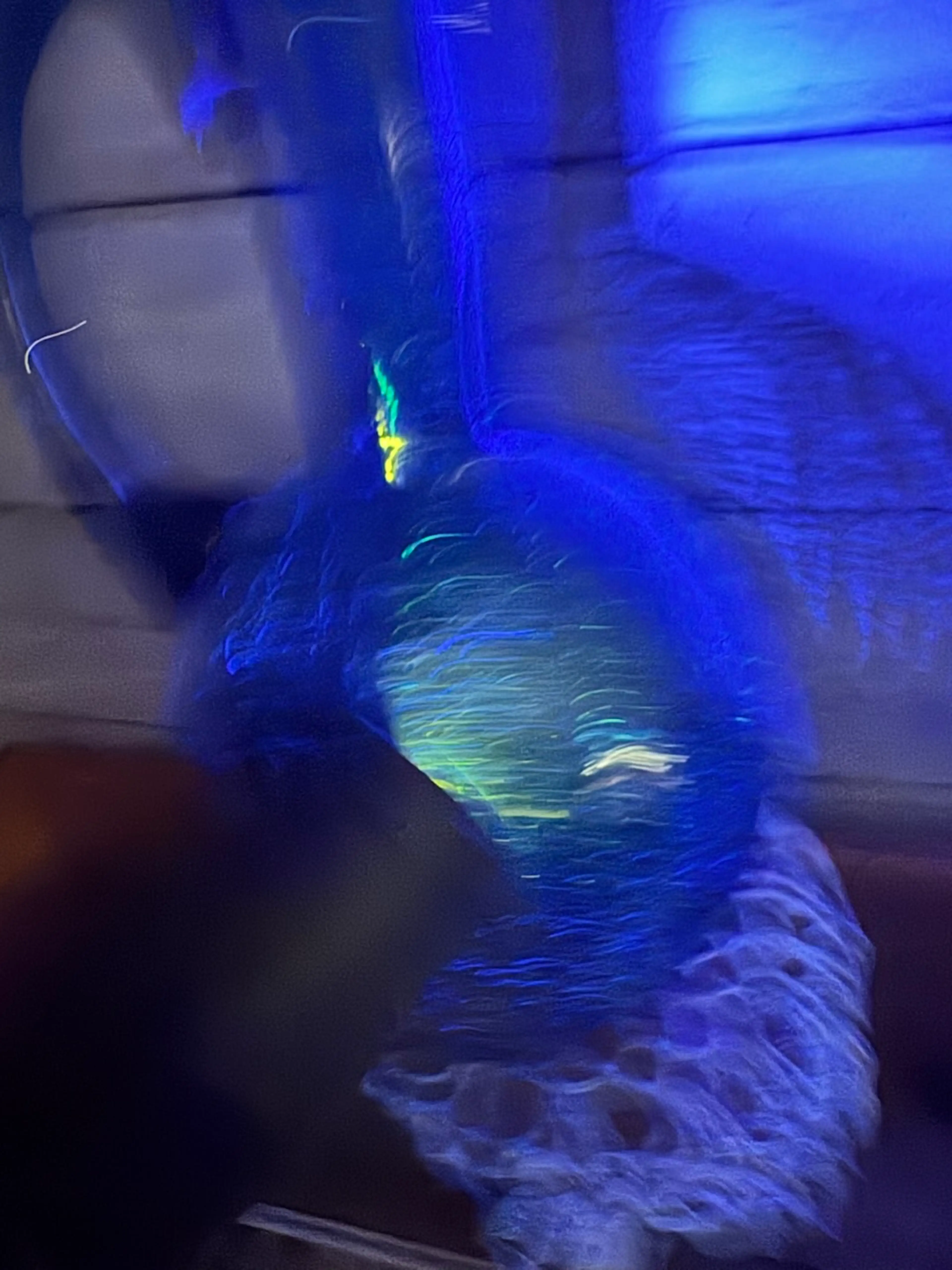 Image 5 of 6
