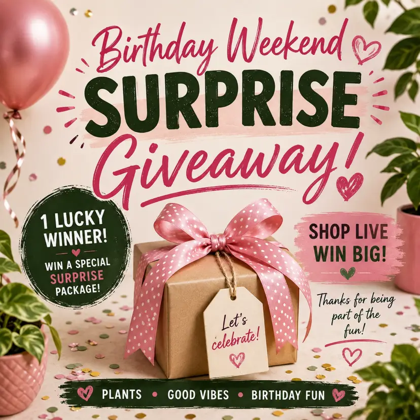Crystal’s Bday Weekend Mystery Box Giveaway
