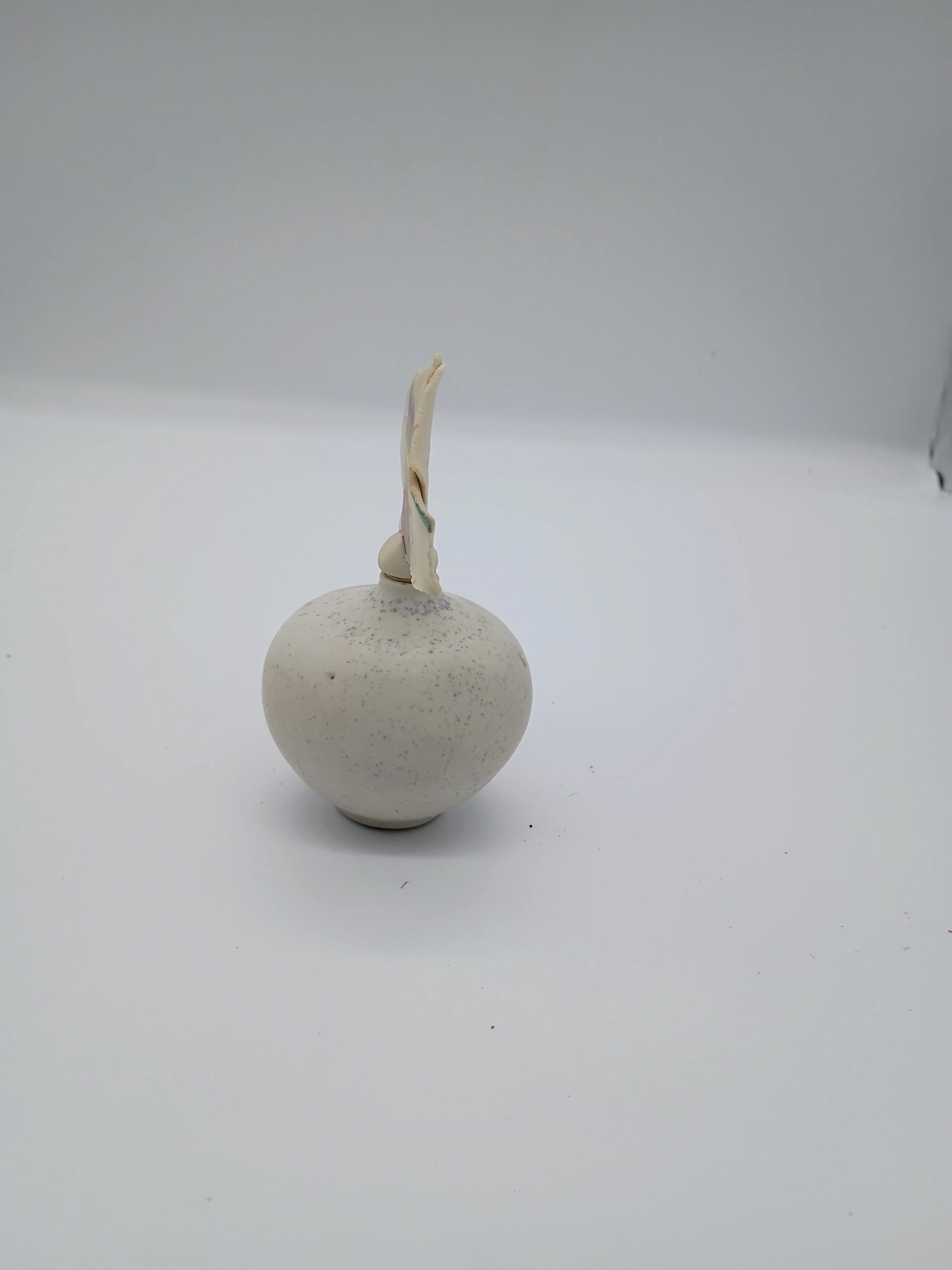 Image 4 of 7