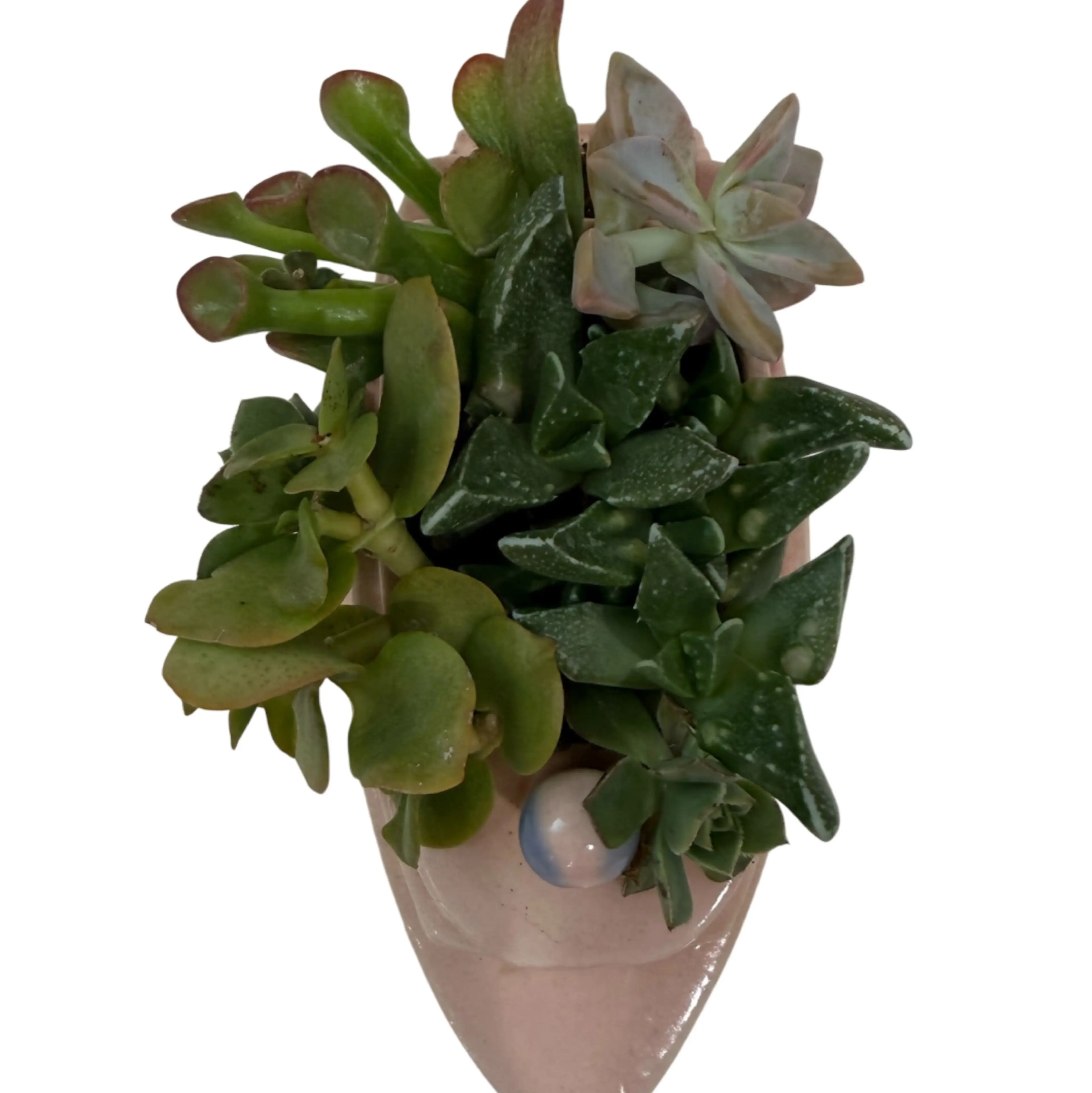 Image 5 of 5