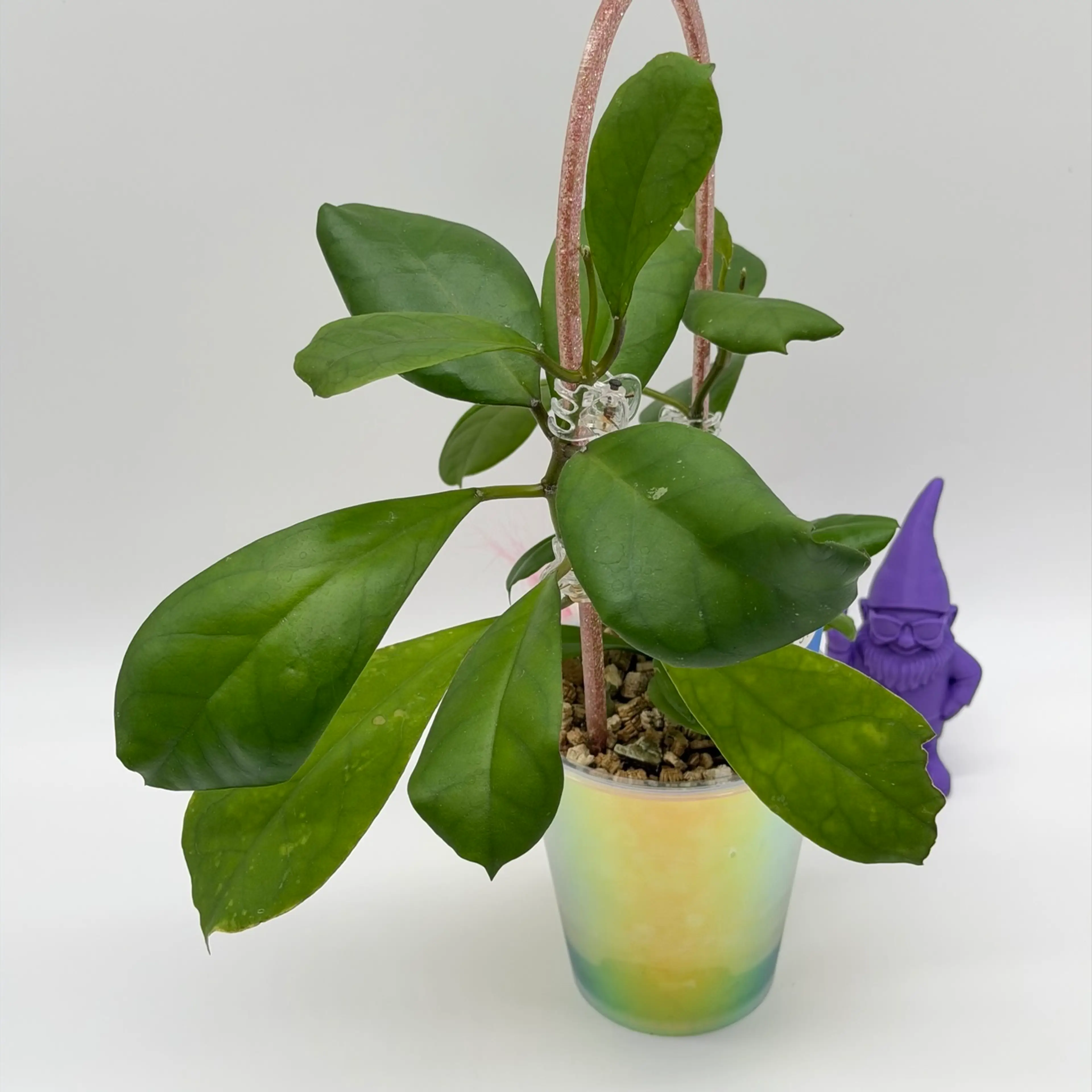 Image 4 of 4