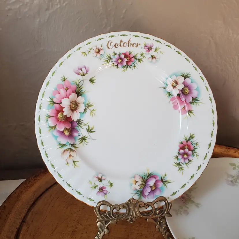 October Cosmos Royal Albert Plate England