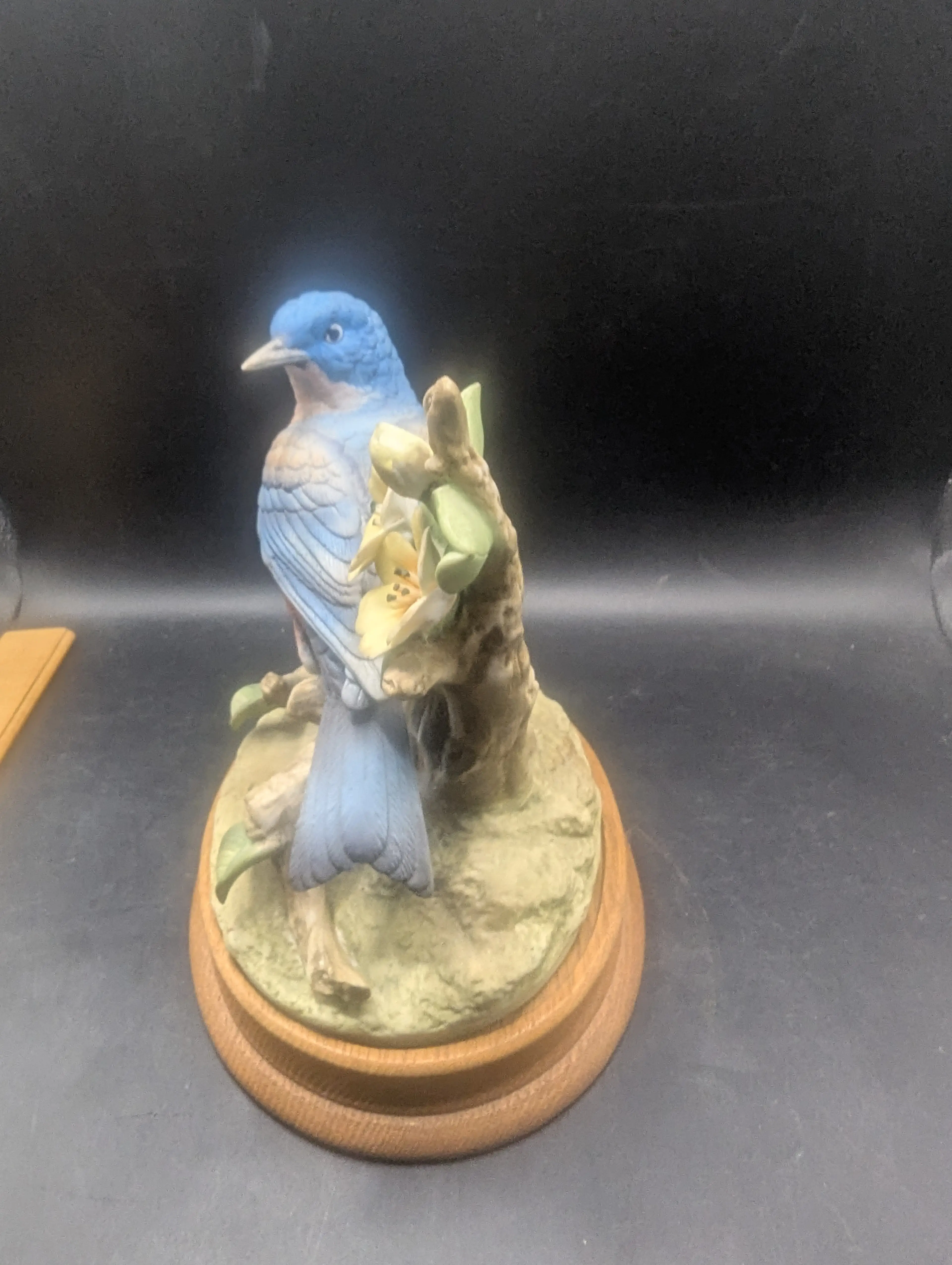 Image 3 of 9