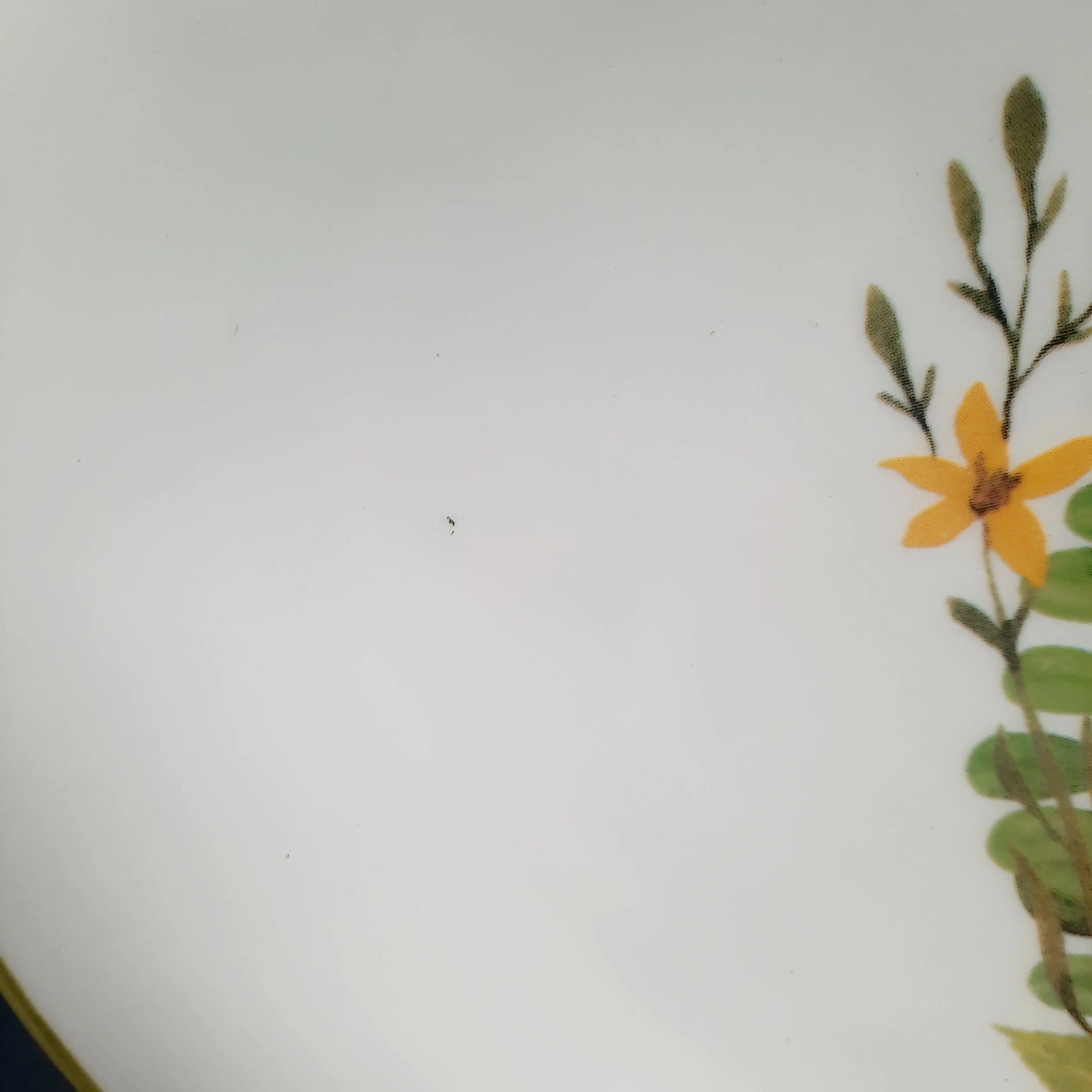 Image 5 of 13