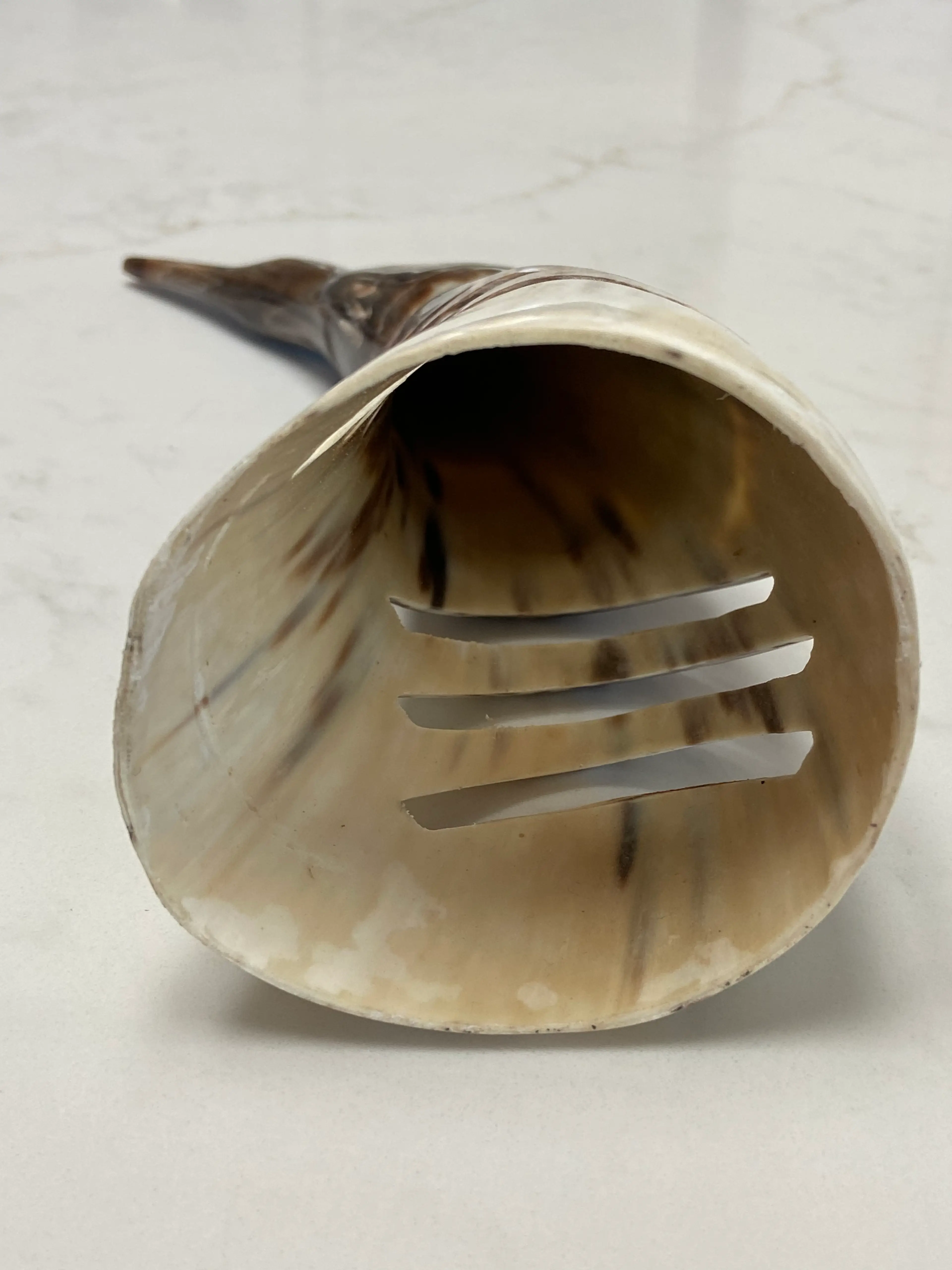 Image 4 of 10