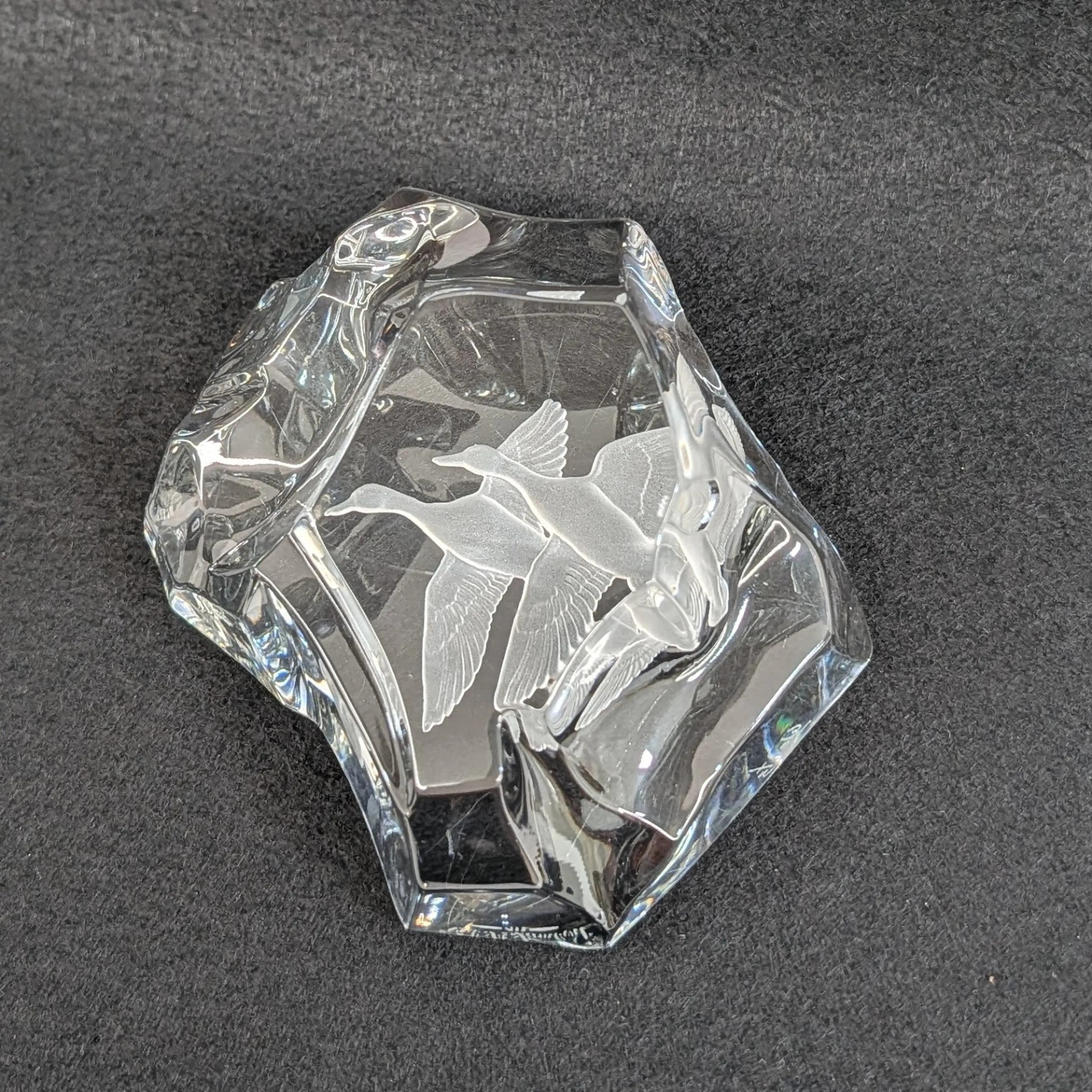 Image 2 of 12