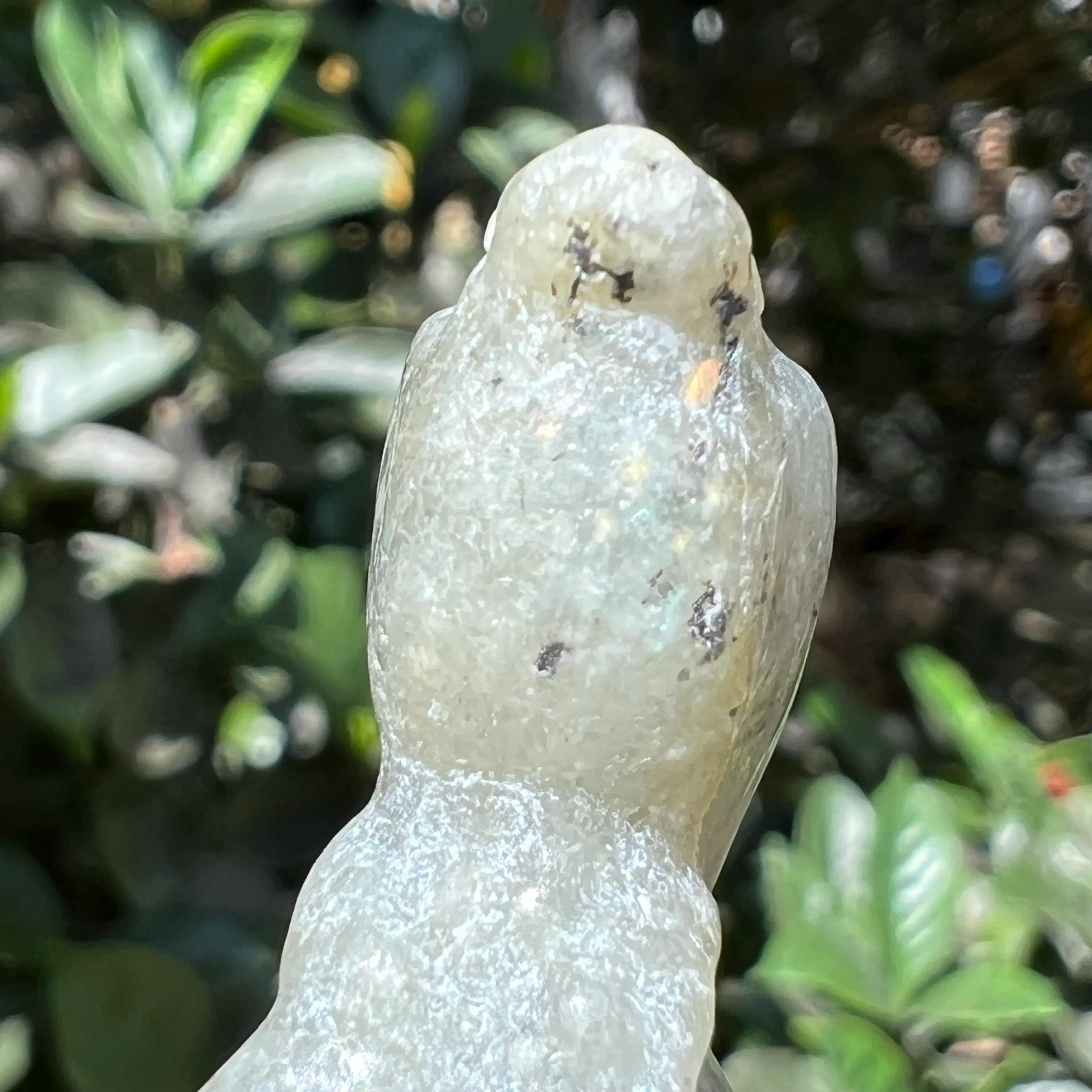 Image 4 of 14
