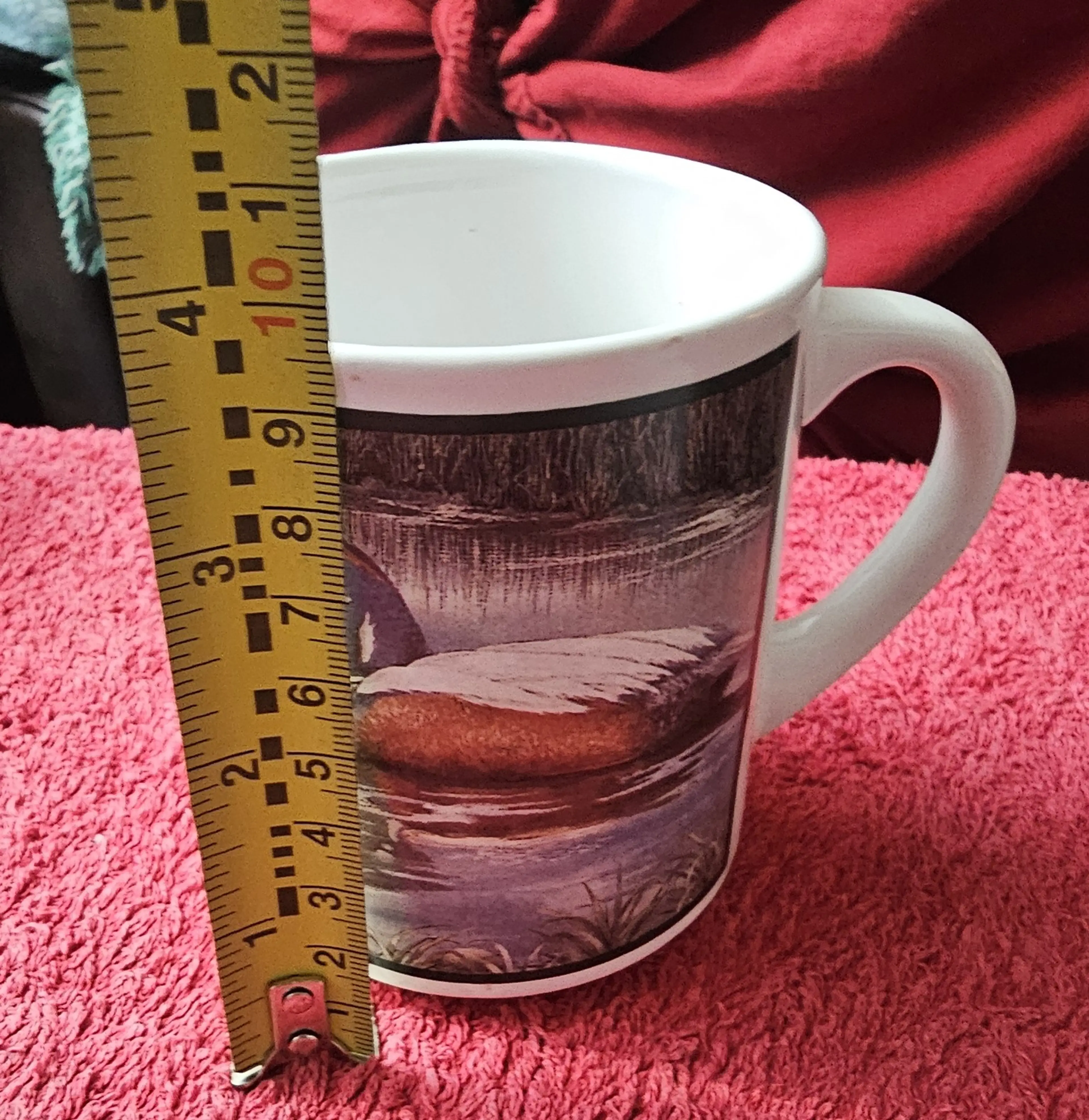 Image 4 of 5