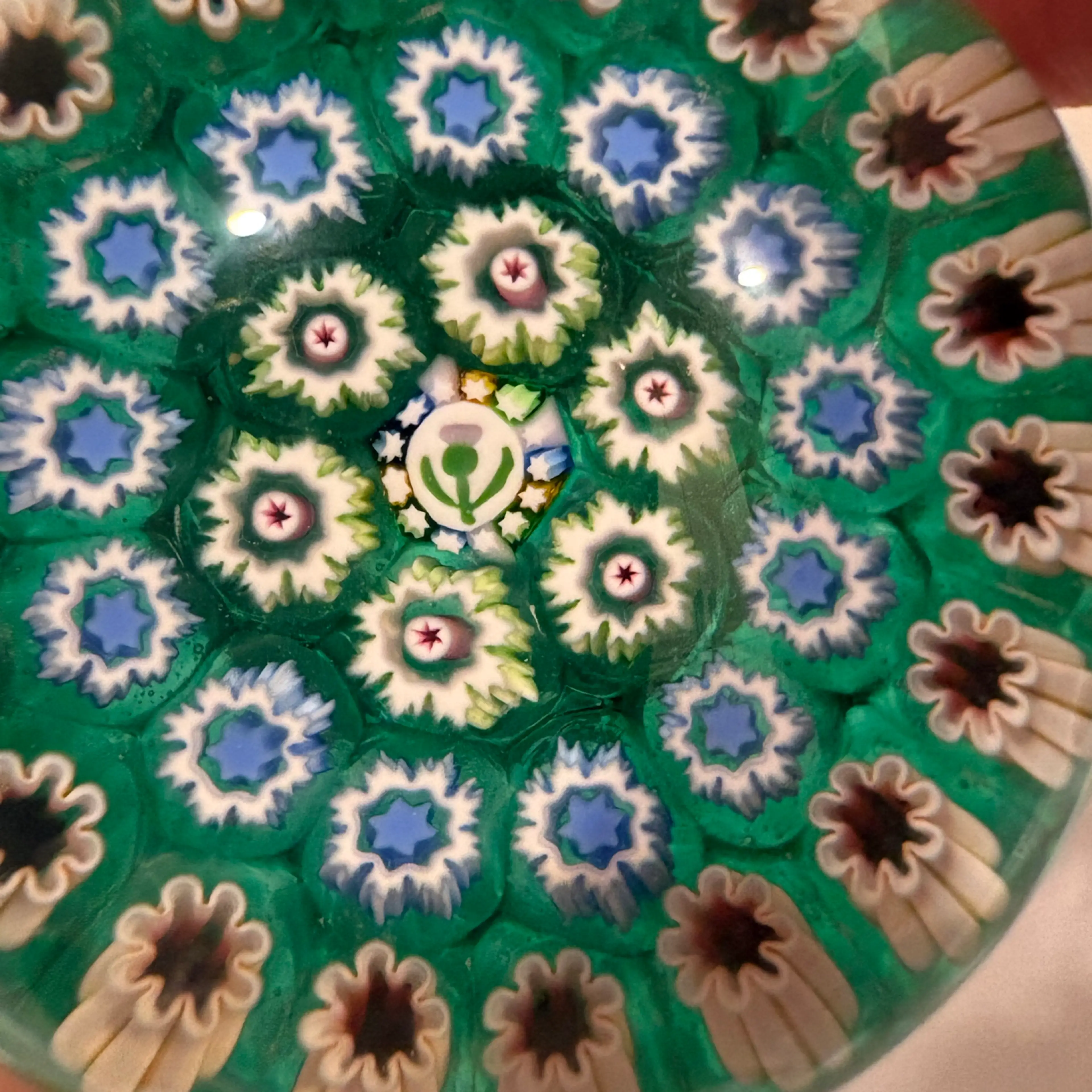 Image 3 of 8