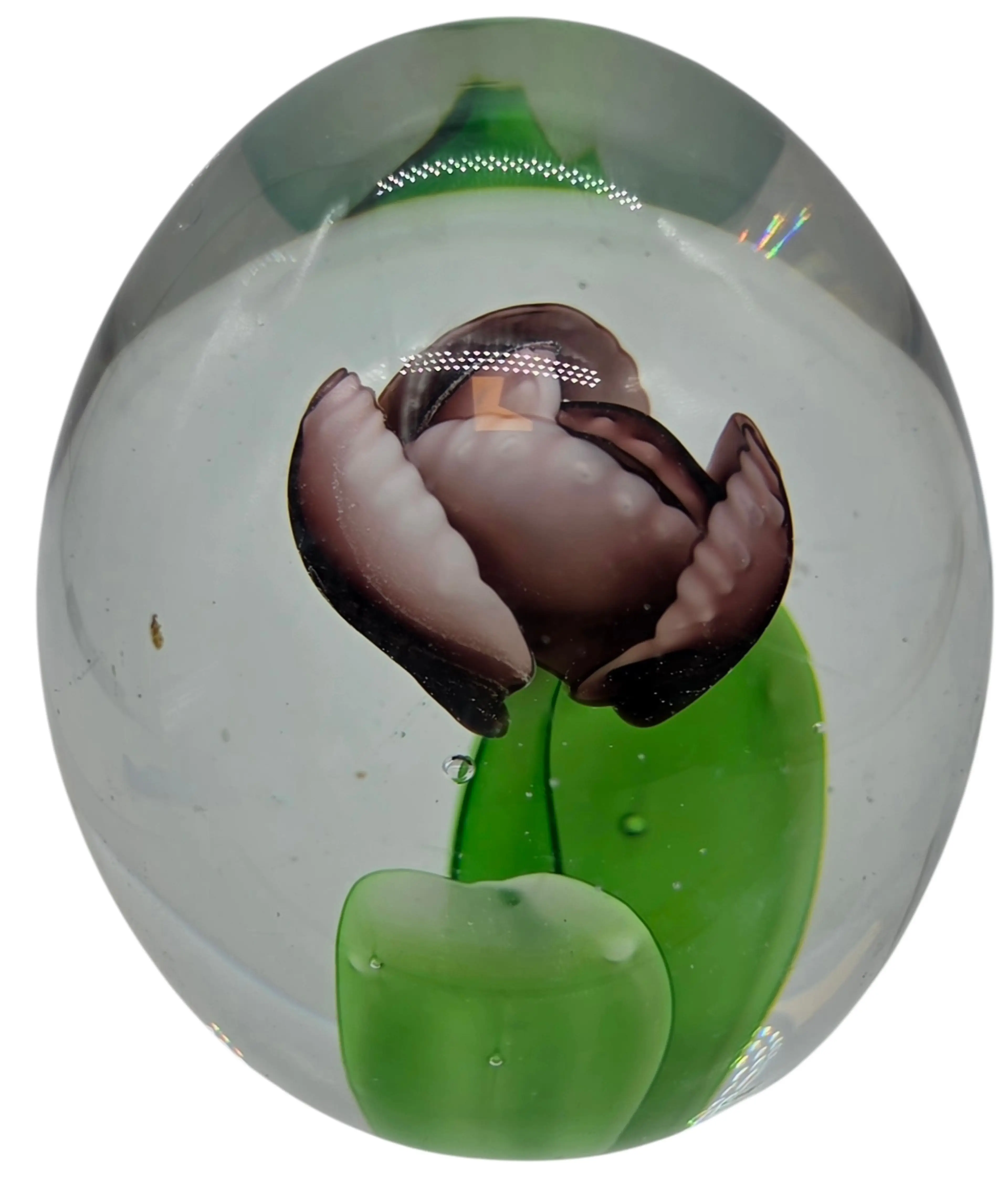 Image 3 of 6