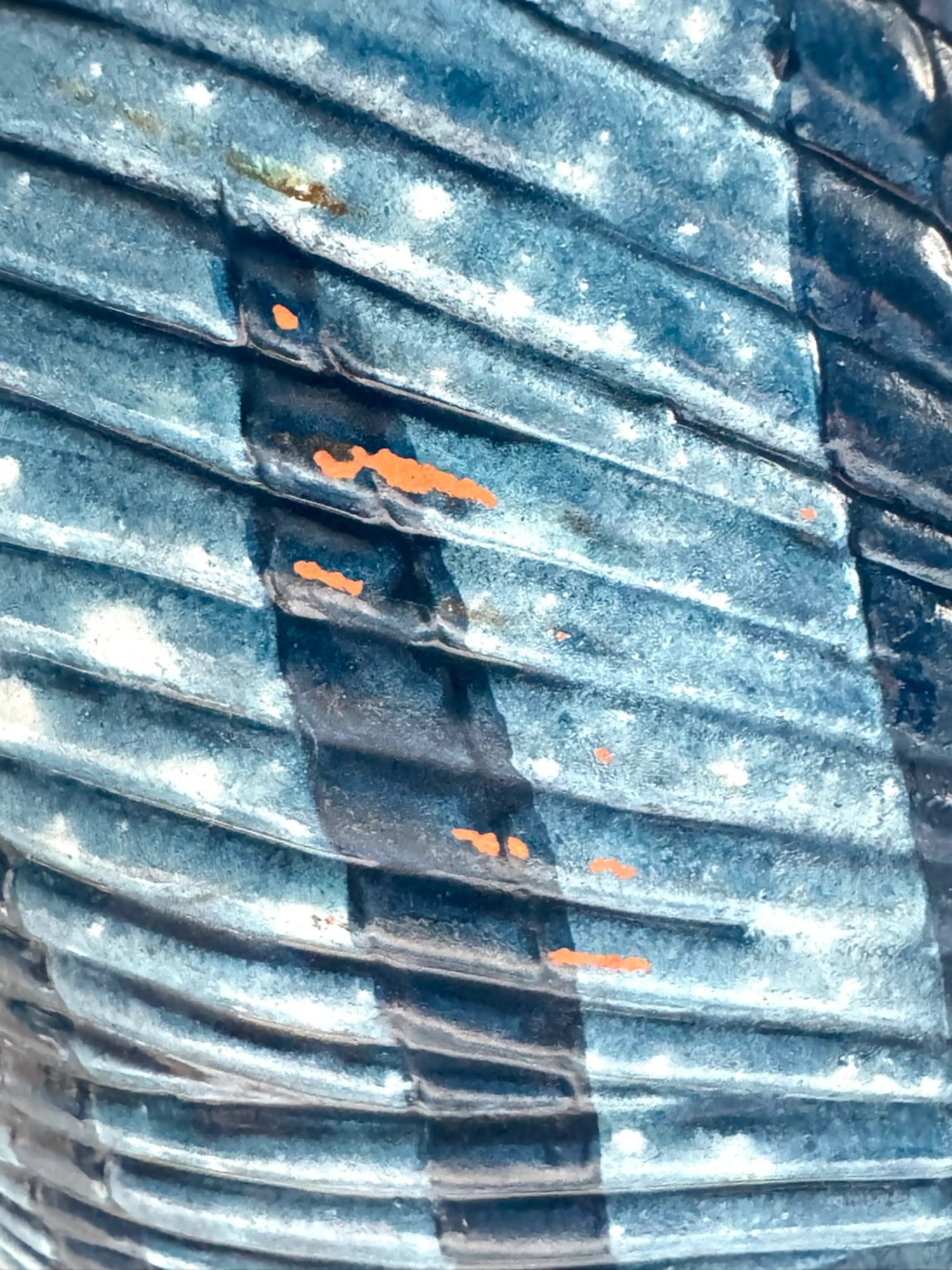 Image 5 of 7