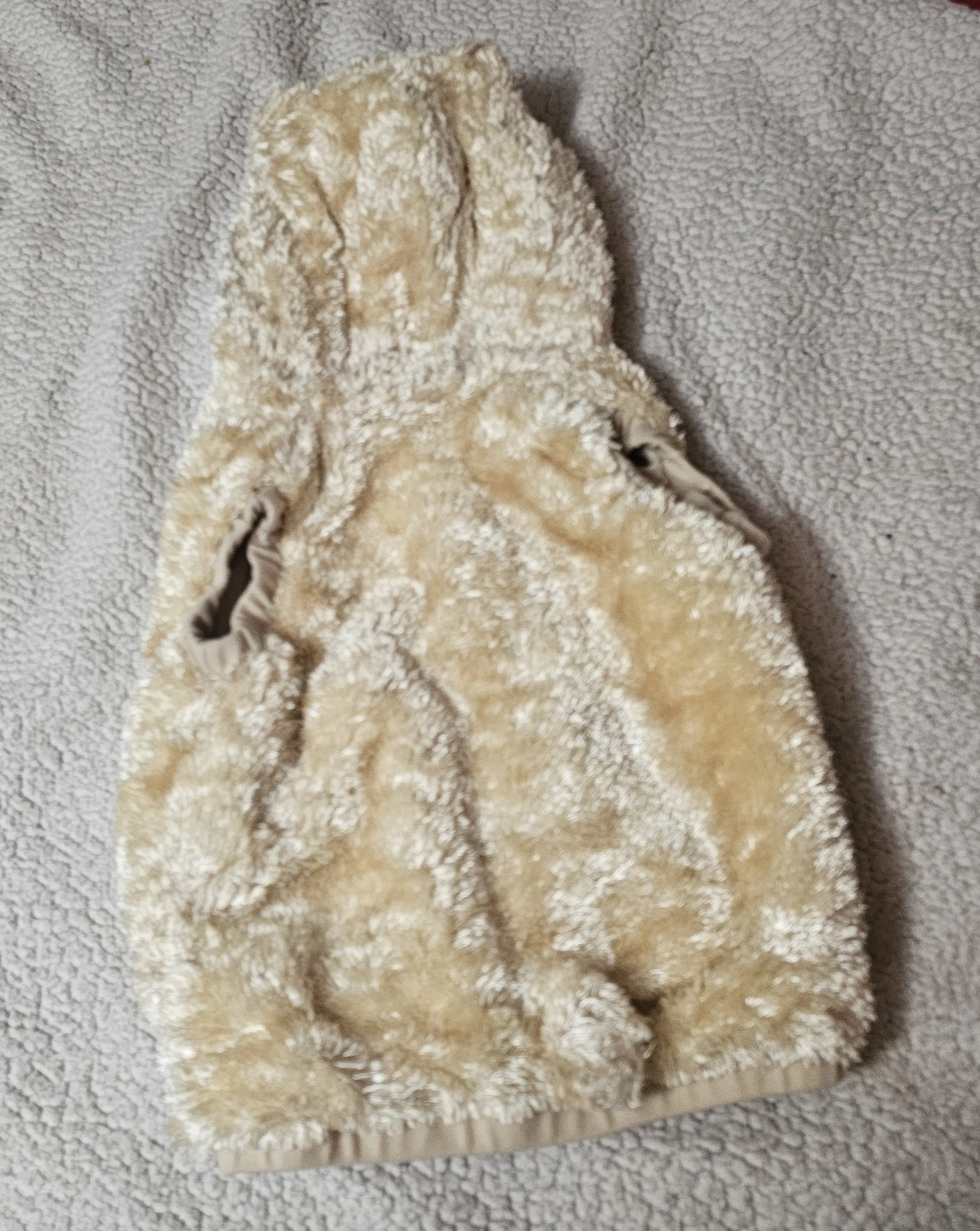 Image 2 of 8