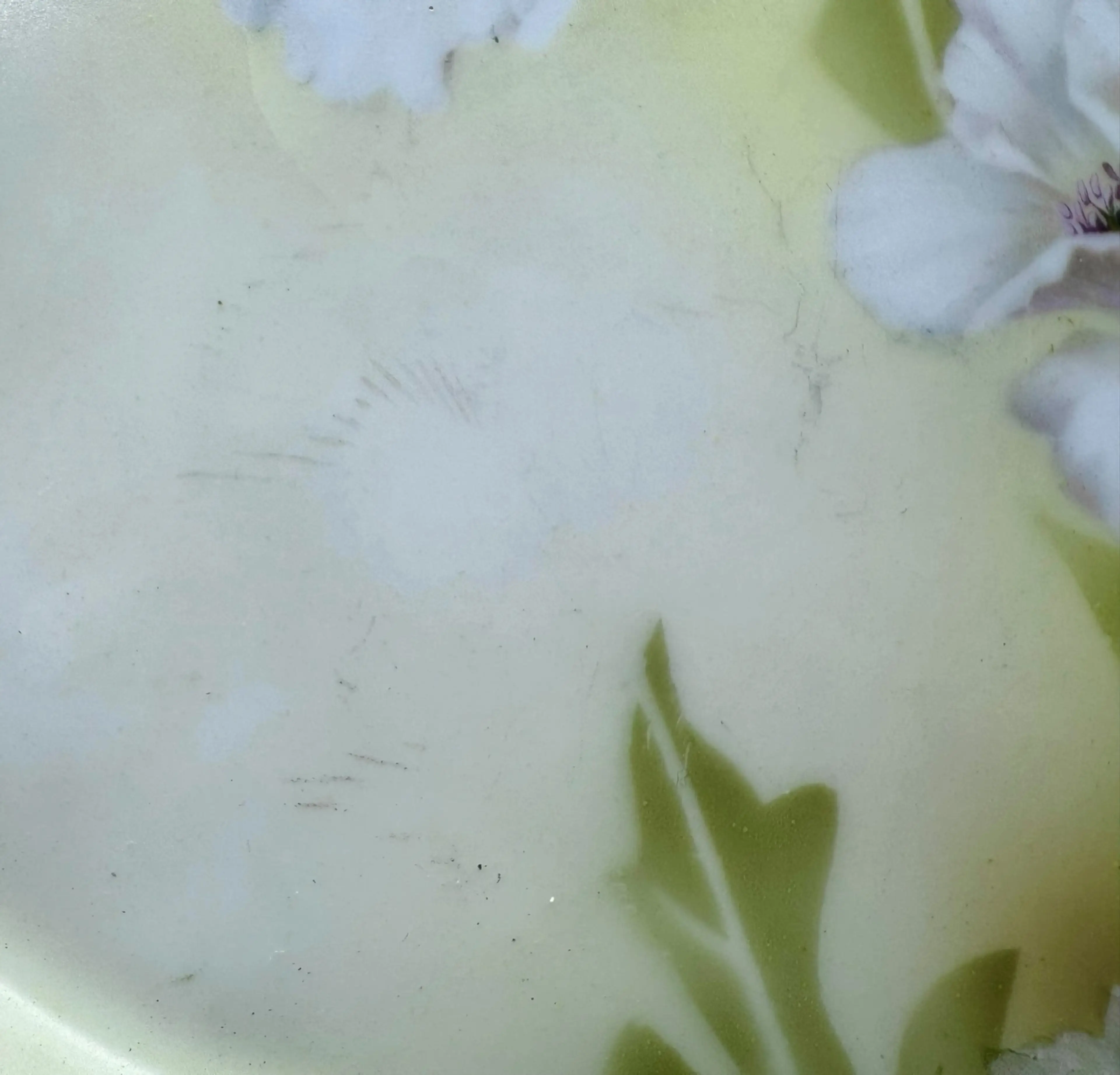 Image 5 of 6