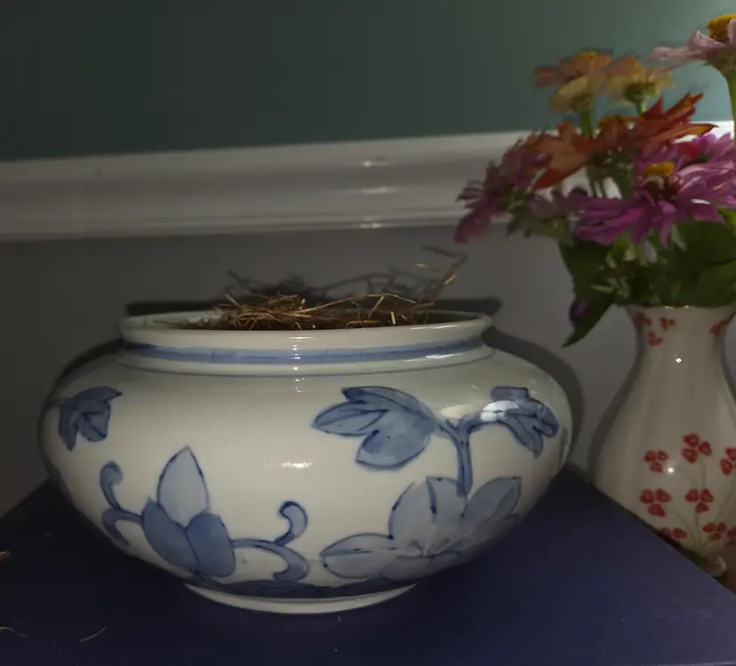 Blue and white ceramic planter