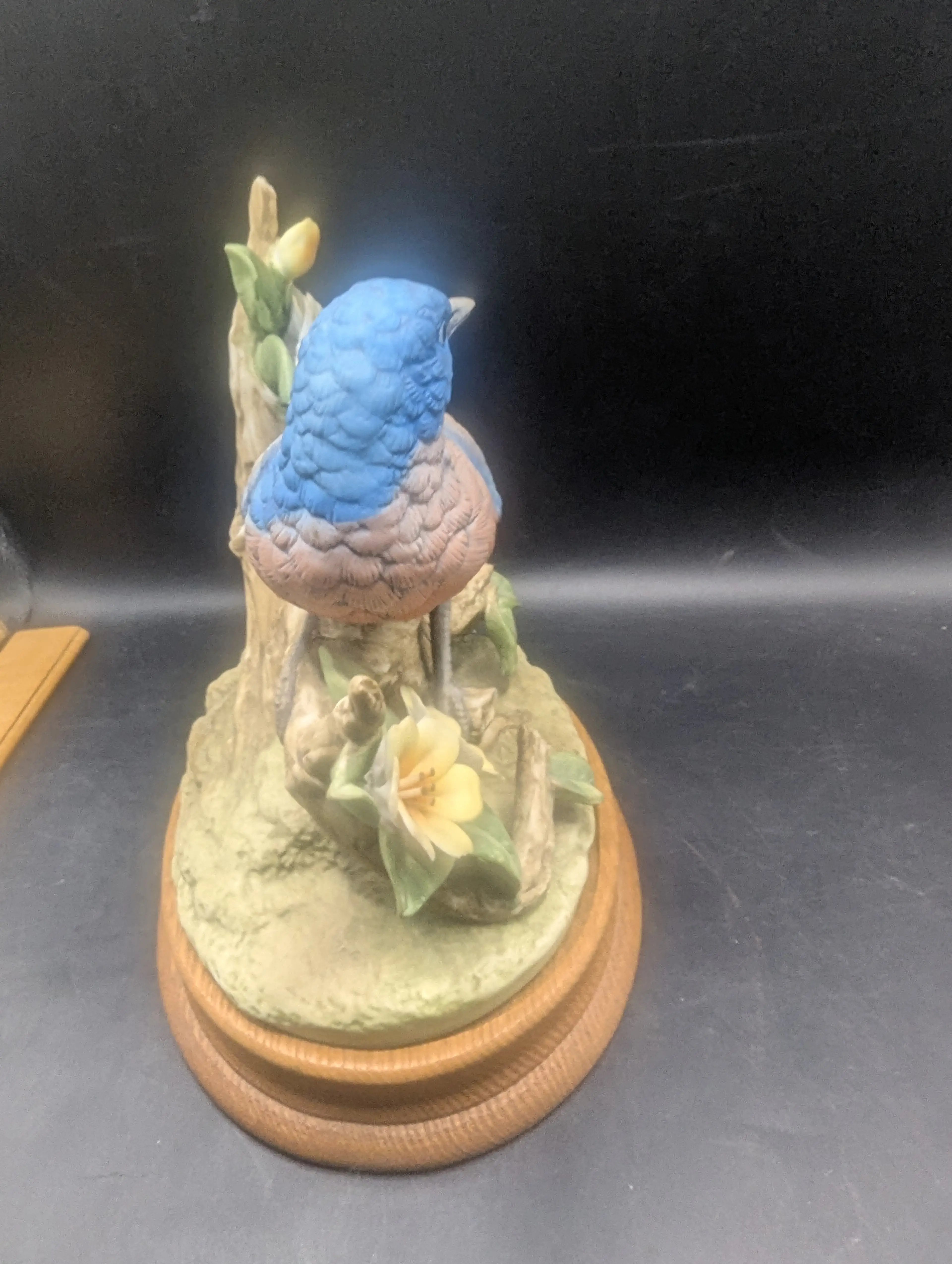 Image 4 of 9