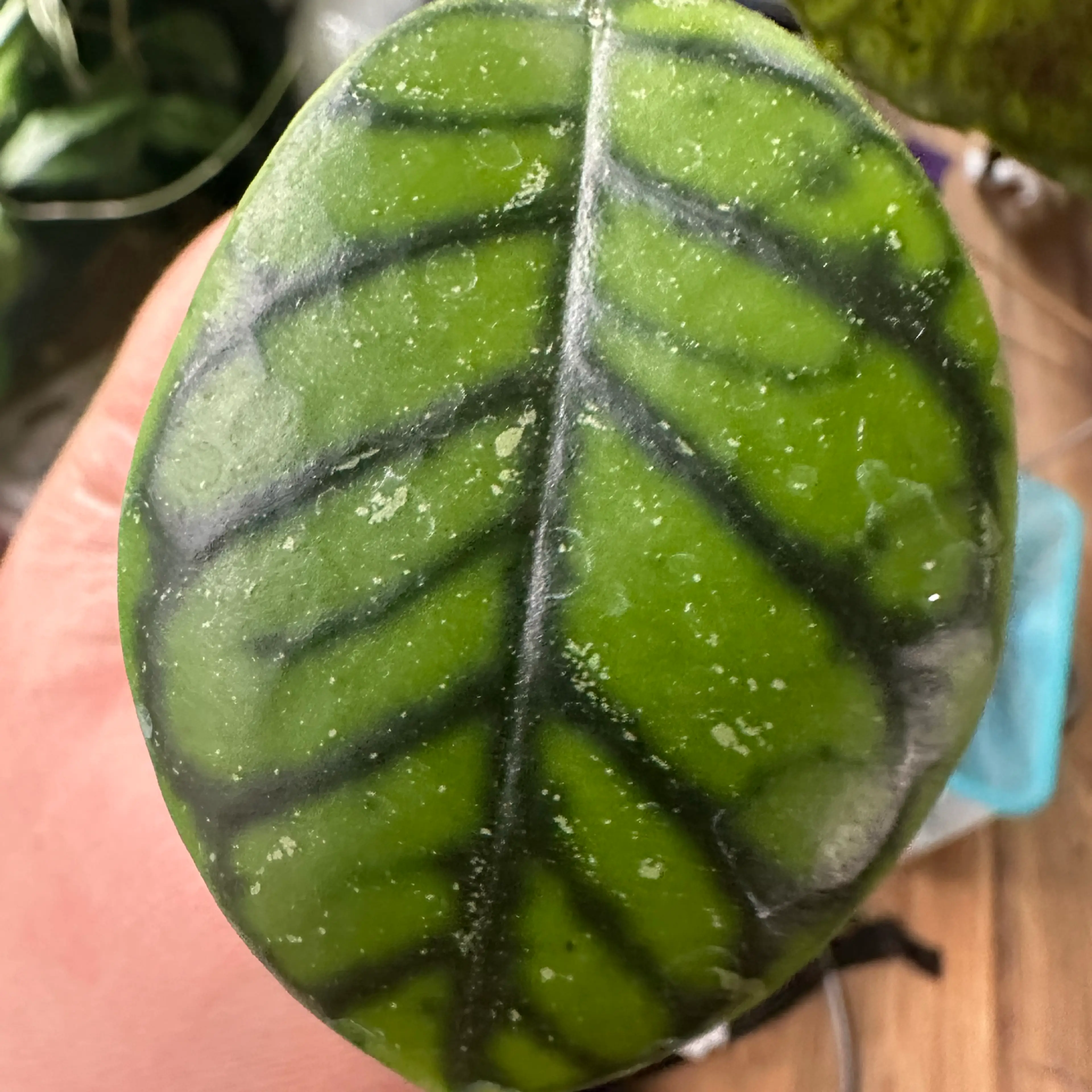 Image 3 of 4