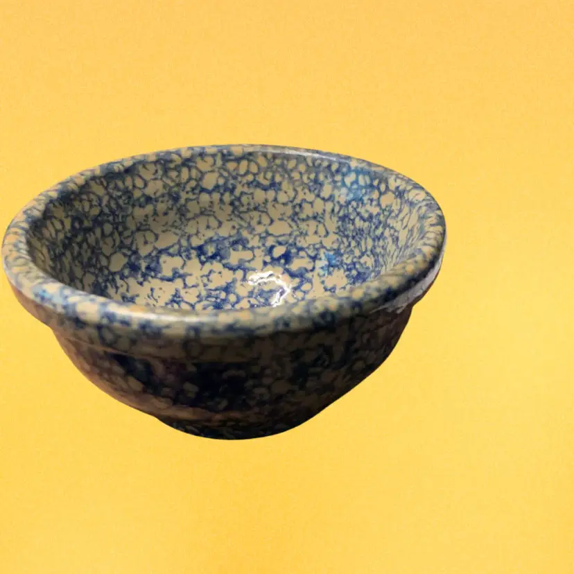 31. BBP SpongeWear Pottery Bowl.