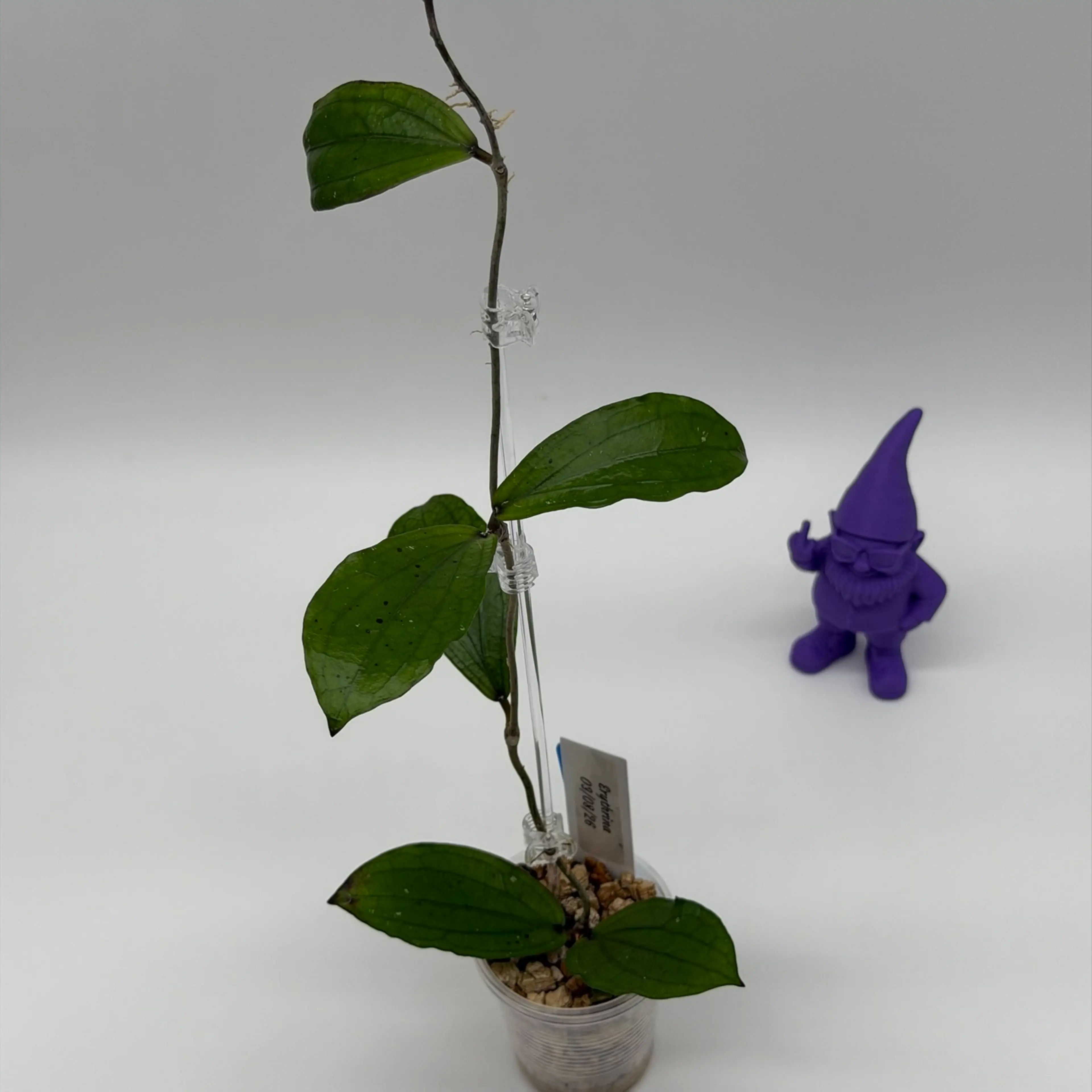 Image 2 of 3