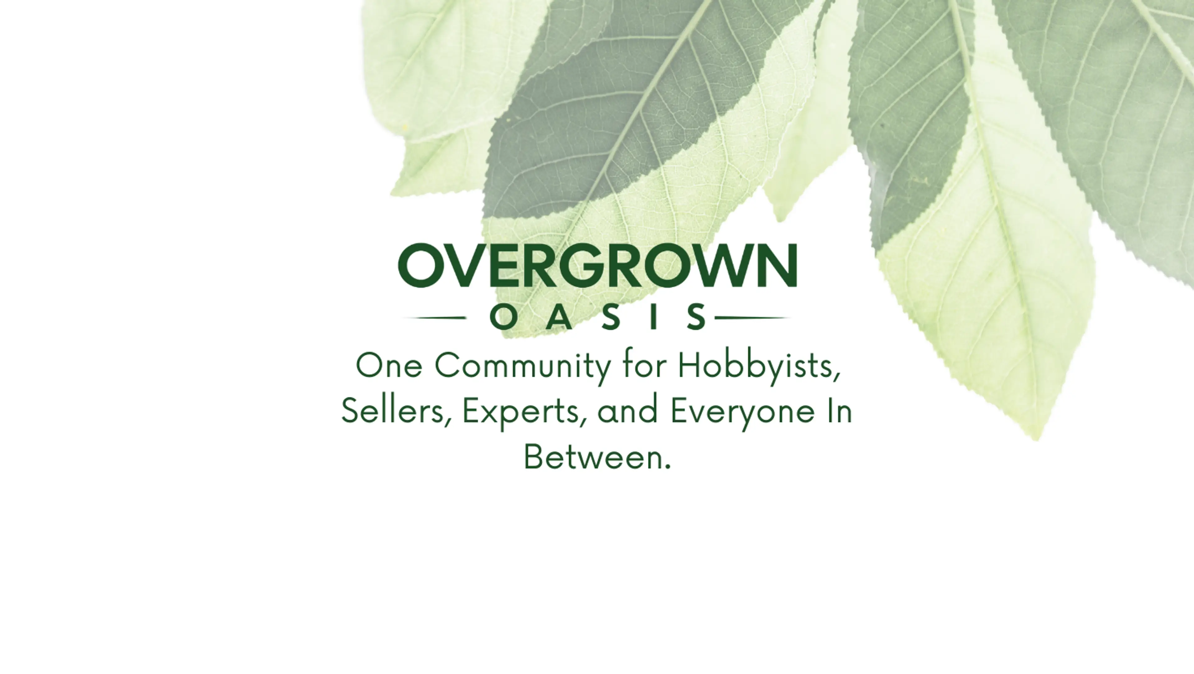 Overgrown Oasis hero banner