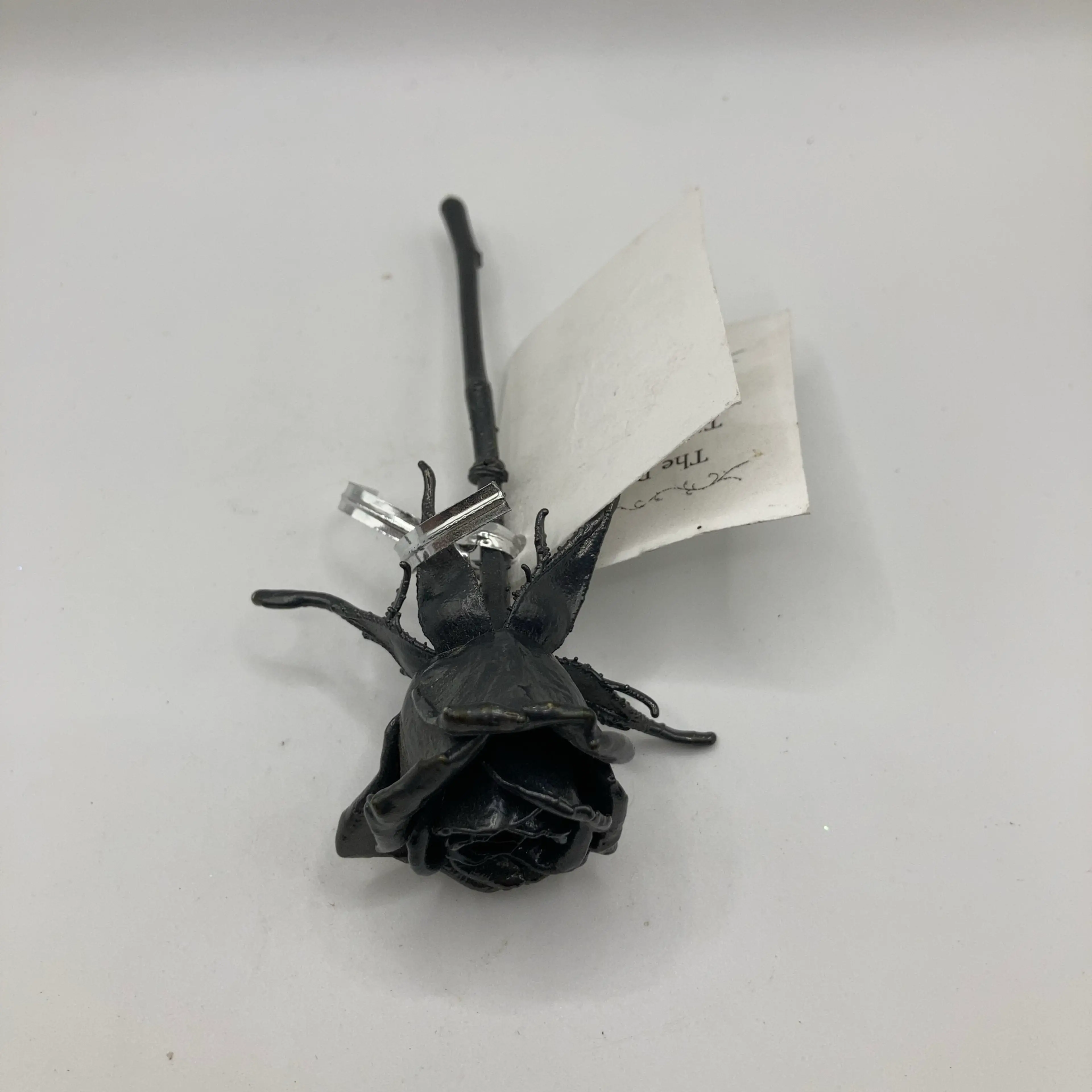 Image 3 of 14
