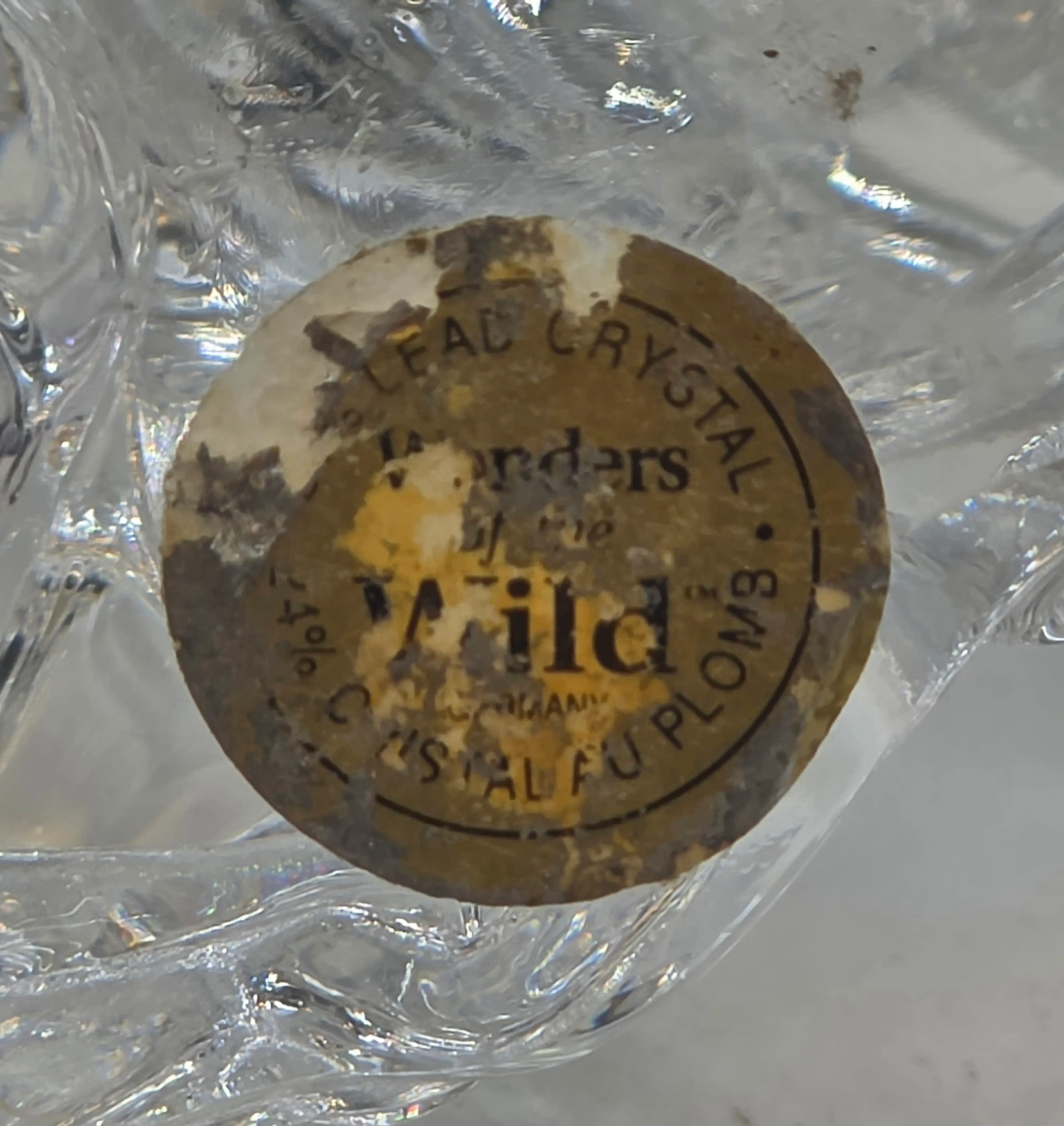 Image 4 of 7