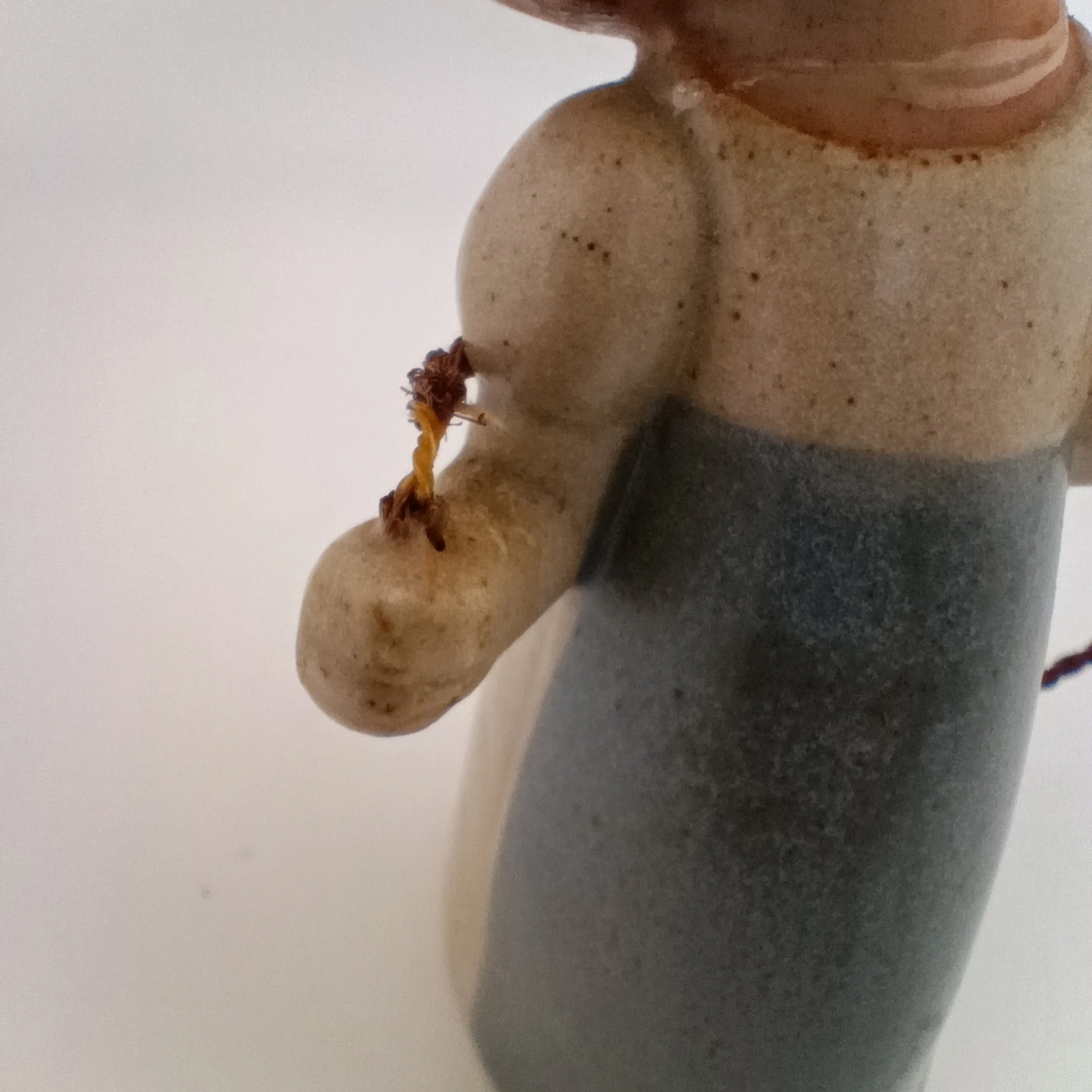 Image 5 of 5