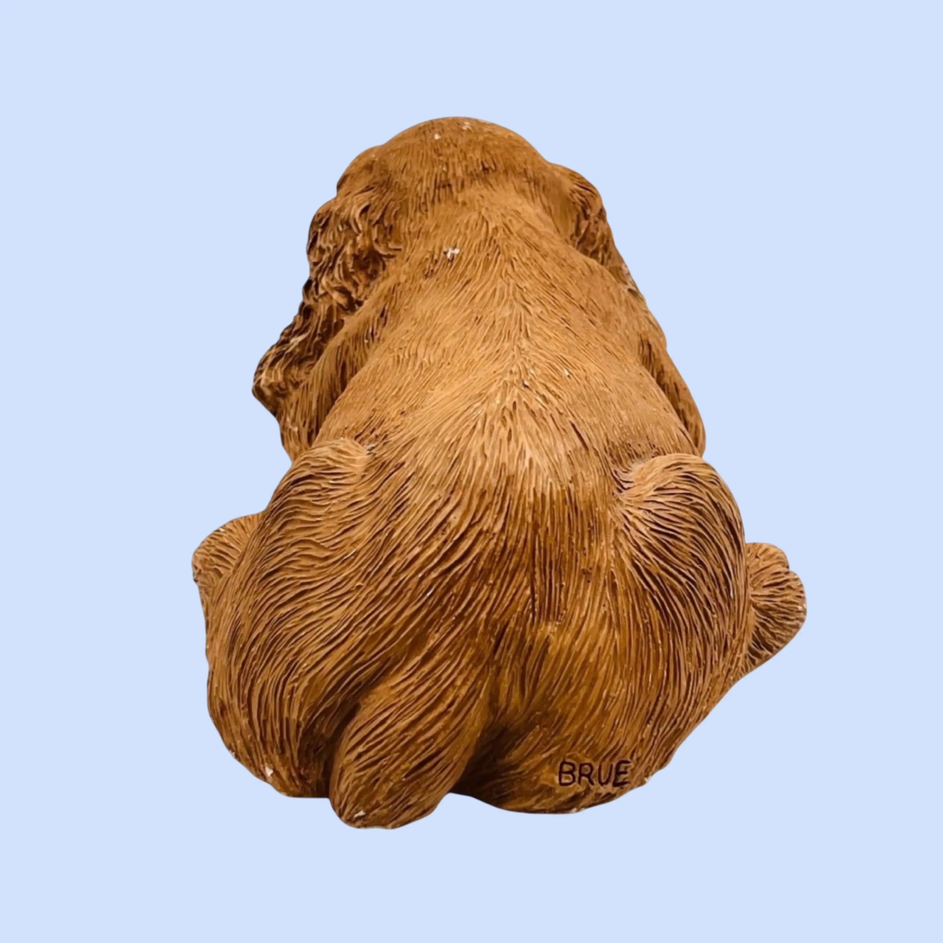 Image 5 of 12